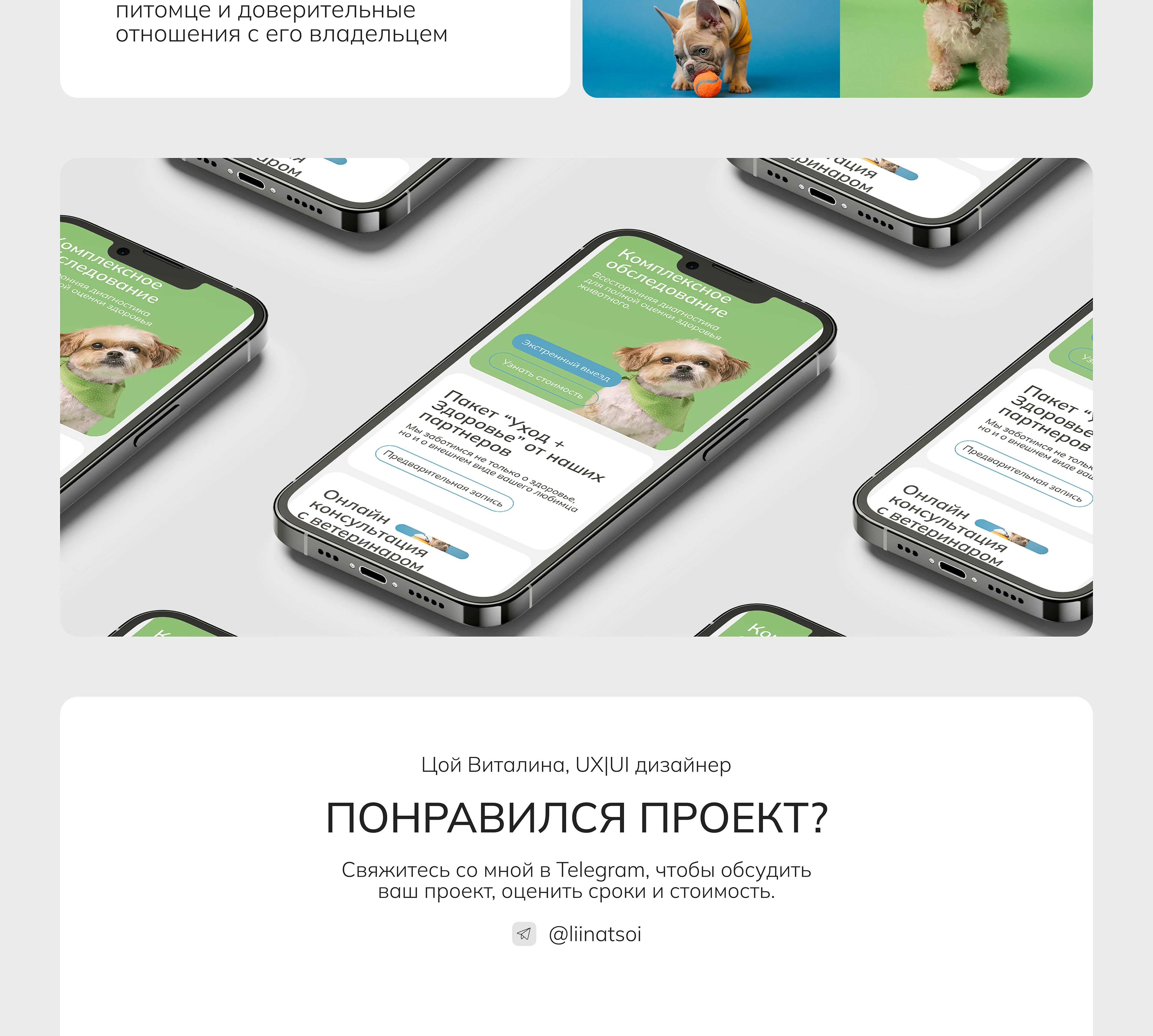 VetExpress — лендинг для выезда ветеринара на дом — Изображение №5 — Интерфейсы на Dprofile