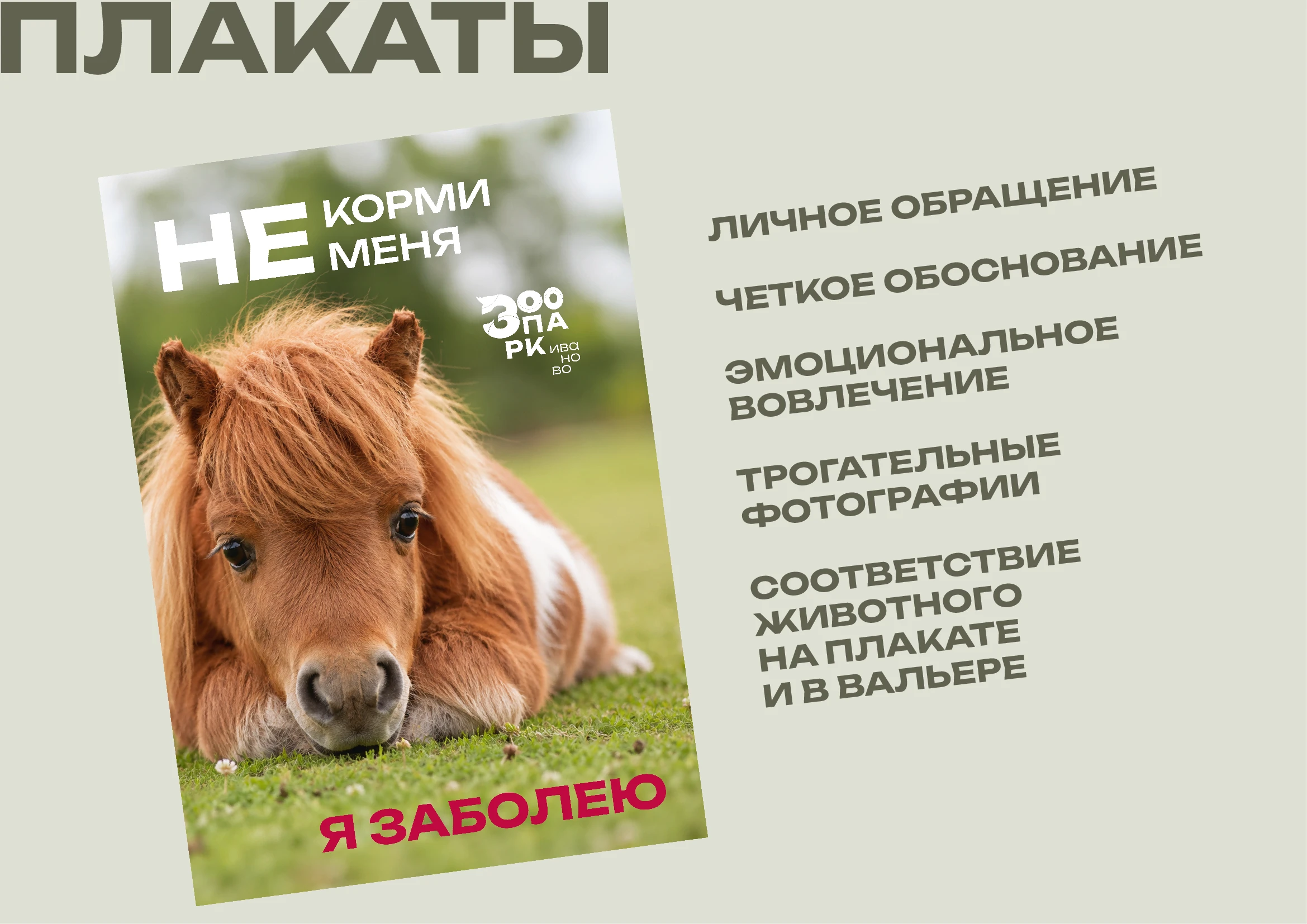 Зоопарк Иваново — Изображение №10 — Брендинг на Dprofile