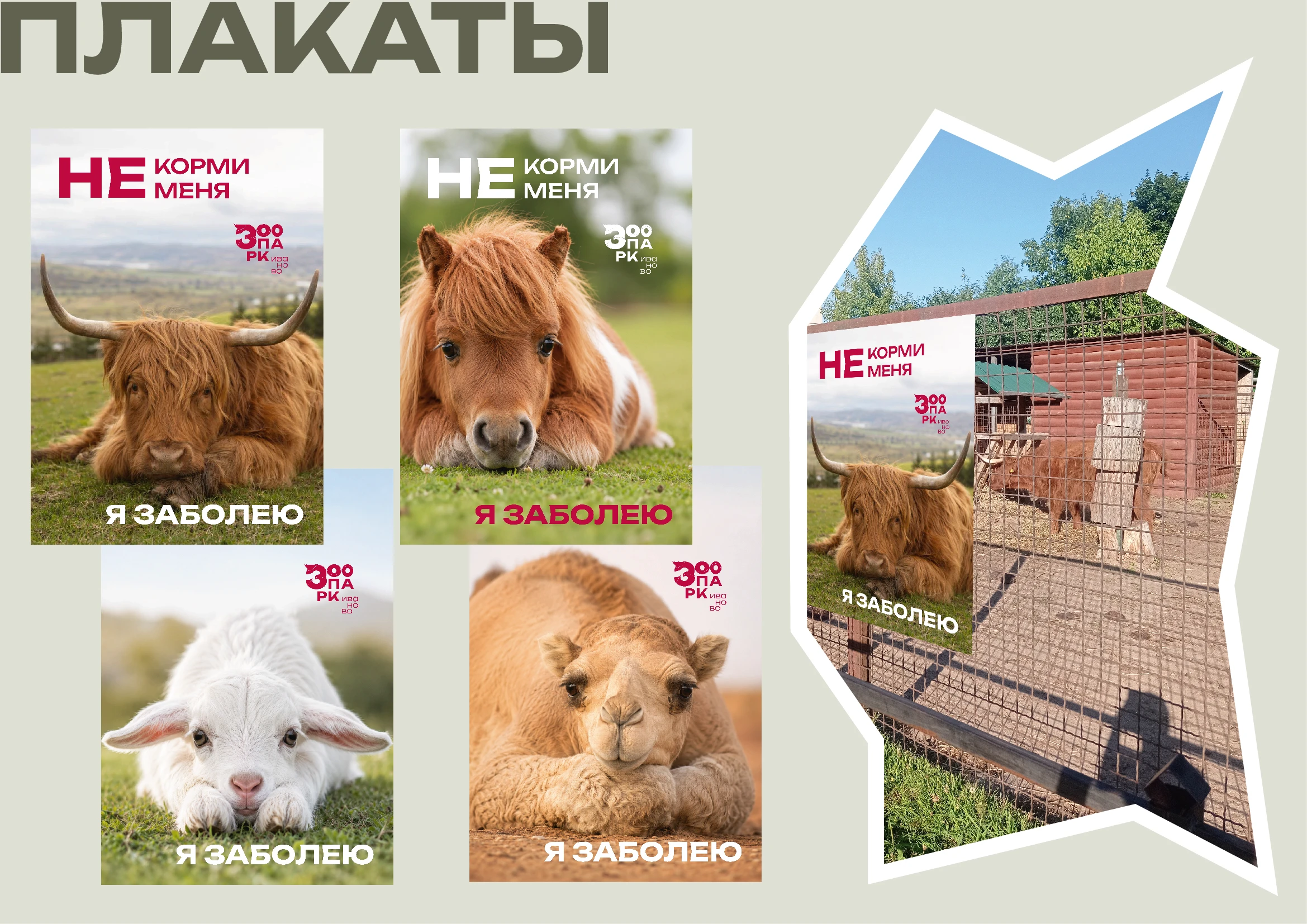 Зоопарк Иваново — Изображение №9 — Брендинг на Dprofile
