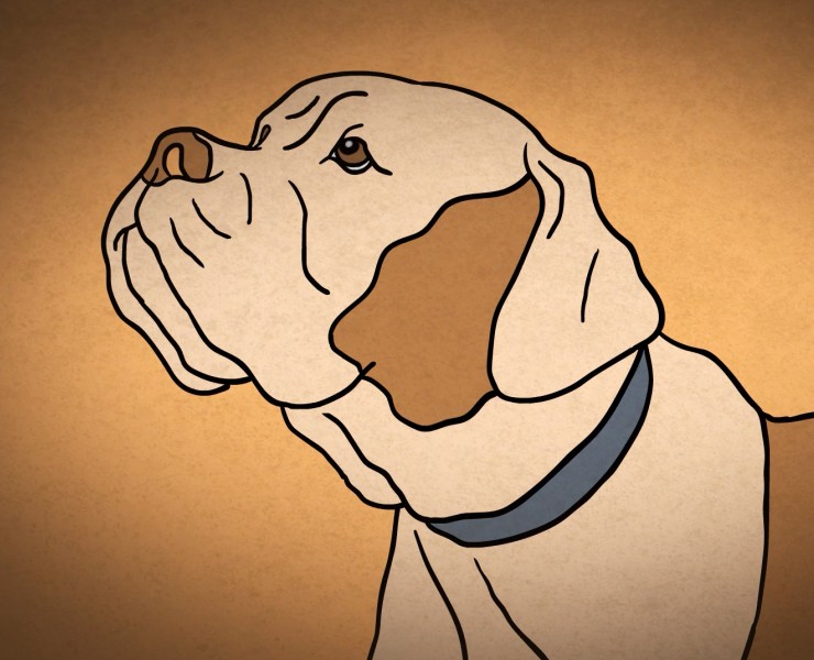 Шоурил моушн-дизайн — 3D, Анимация на Dprofile