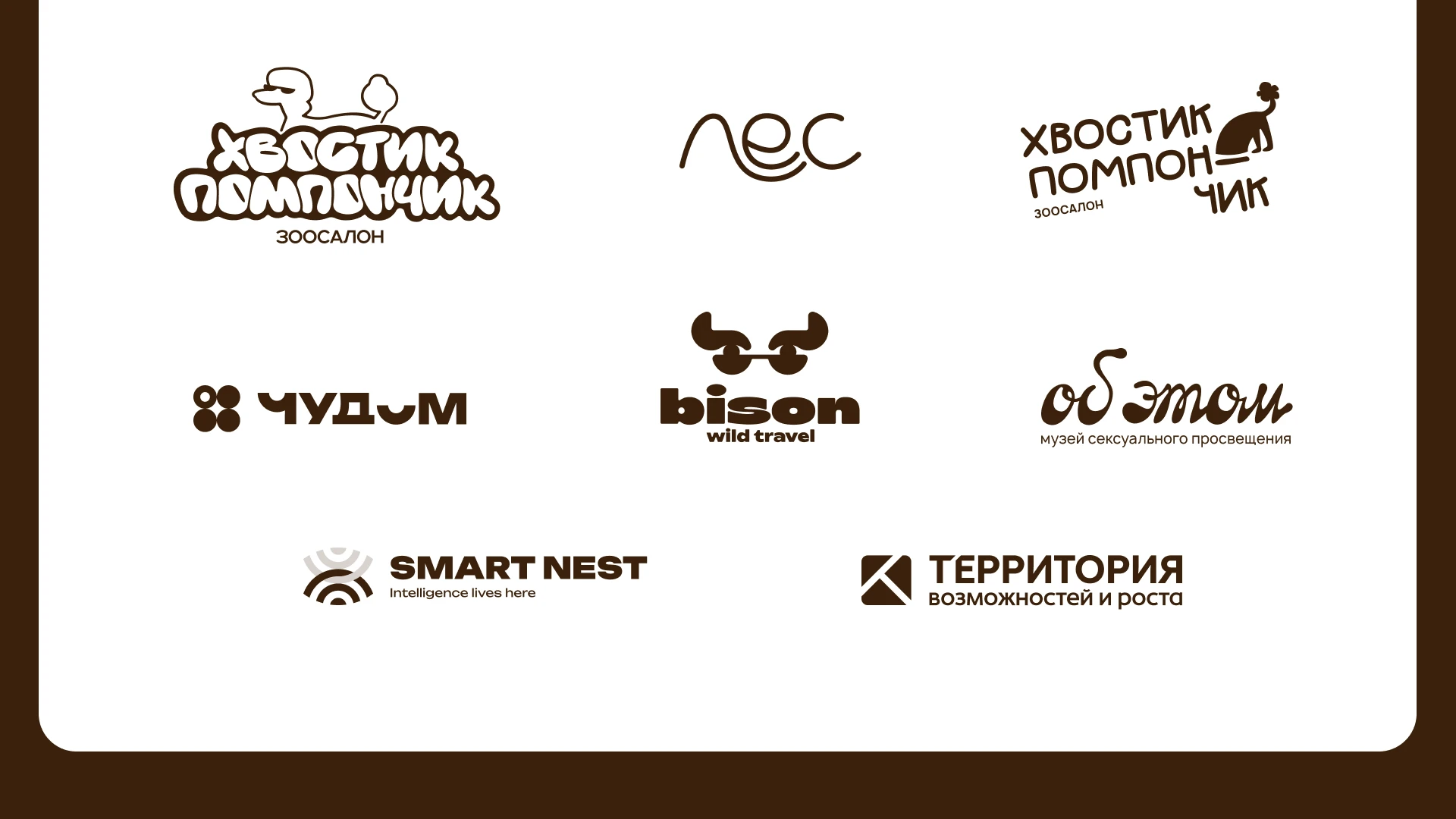 Портфолио графического дизайнера 2026 — Изображение №6 — Брендинг на Dprofile