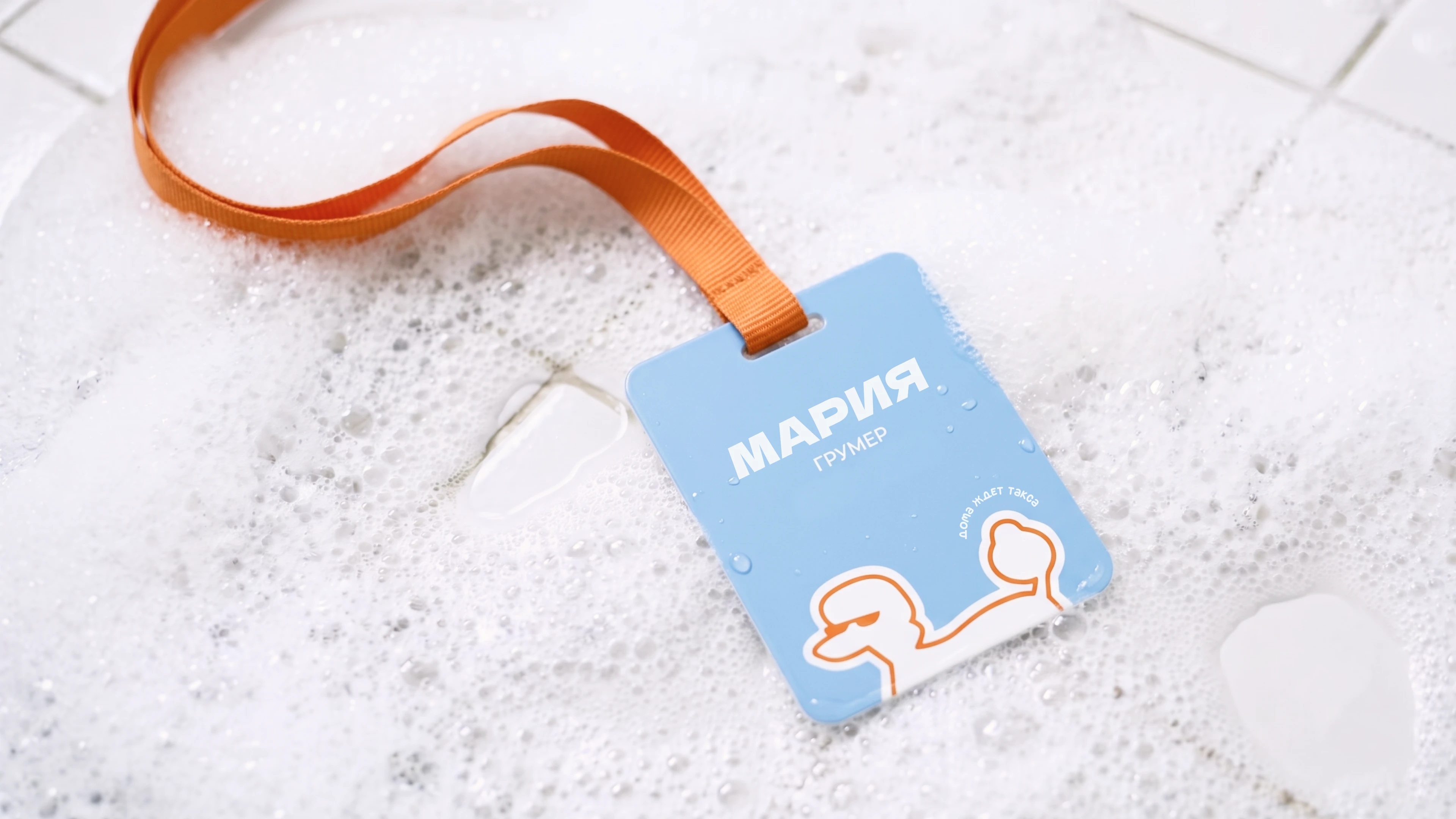 ФИРМЕННЫЙ СТИЛЬ ДЛЯ ГРУМИНГА — Изображение №17 — Брендинг на Dprofile