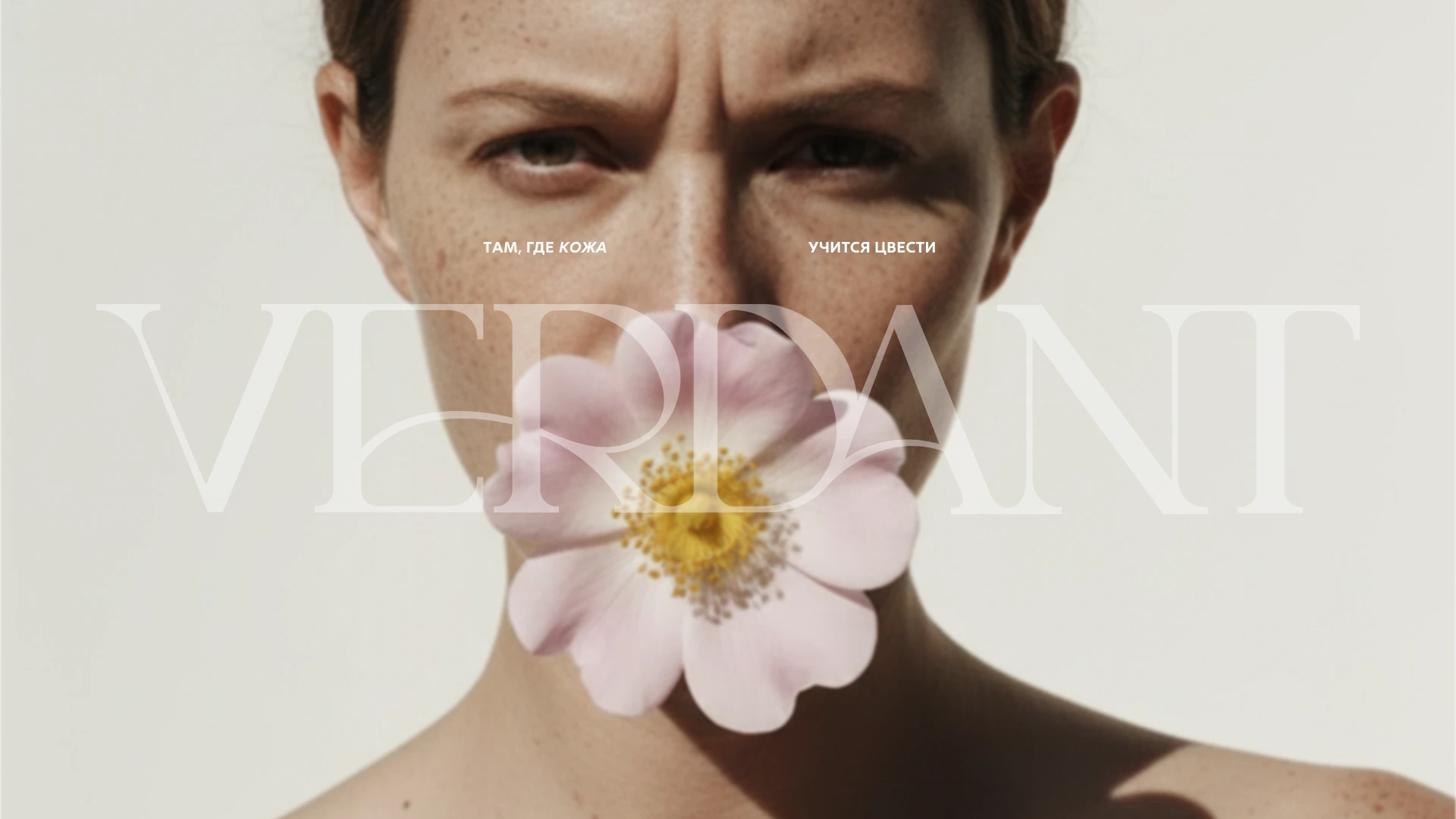 фирменный стиль косметического бренда — Изображение №1 — Брендинг на Dprofile