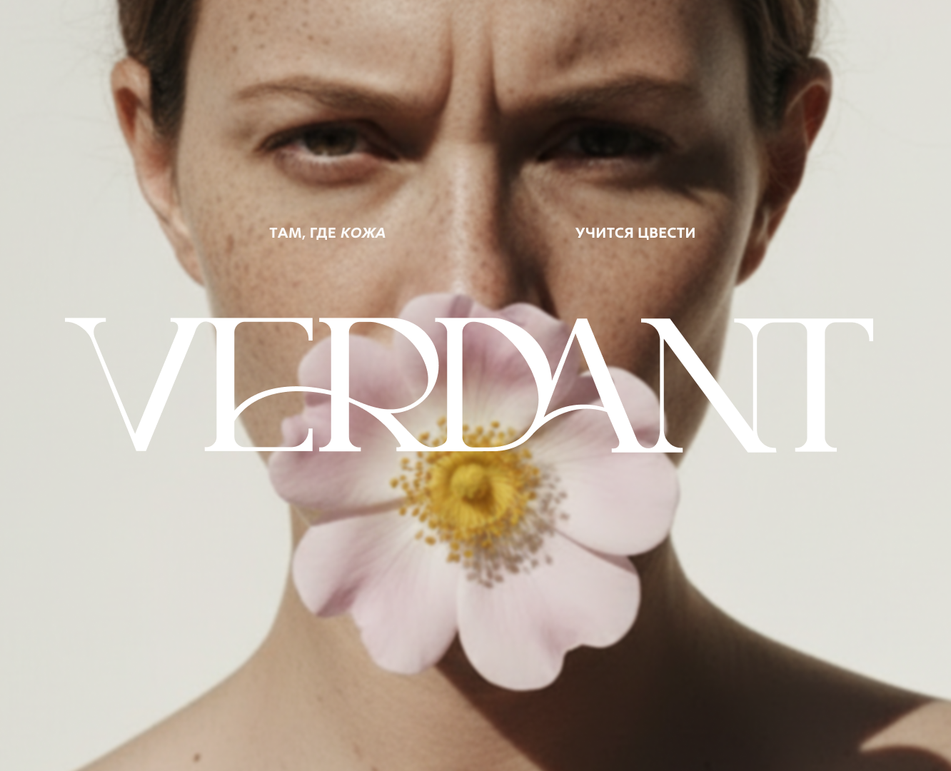 фирменный стиль косметического бренда — Брендинг на Dprofile