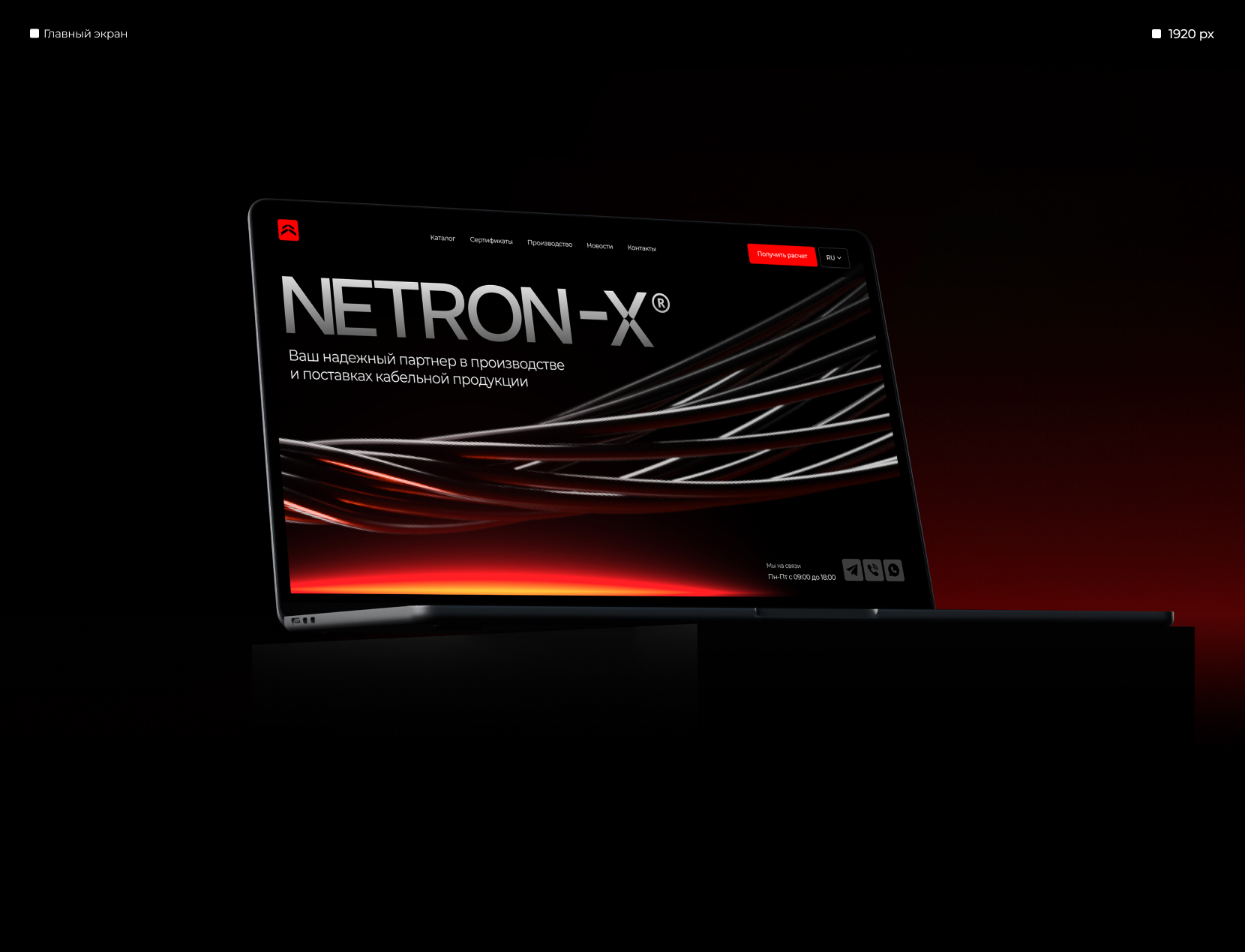 NETRON-X | Website & Branding — Изображение №4 — Интерфейсы, Брендинг на Dprofile