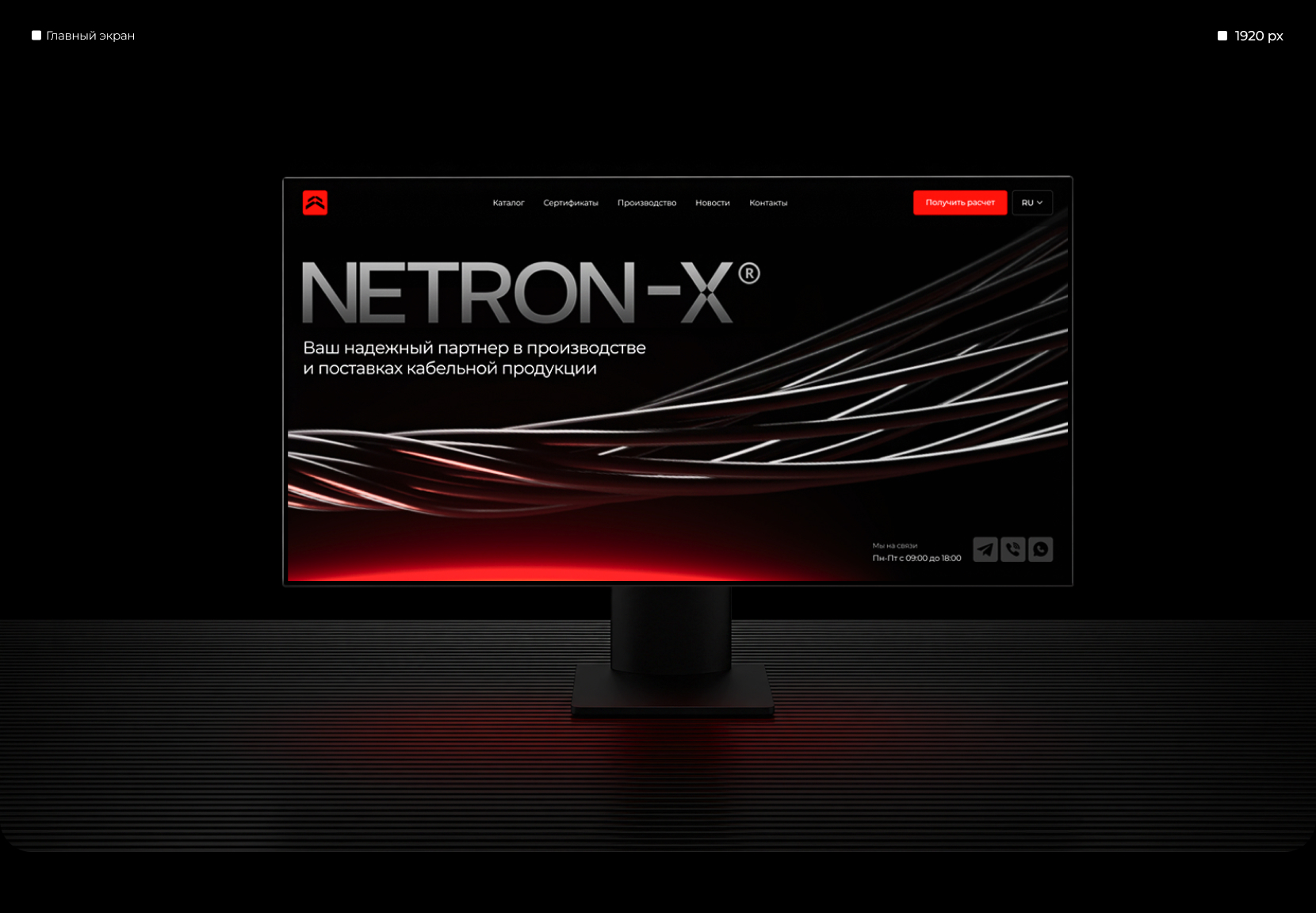 NETRON-X | Website & Branding — Изображение №4 — Интерфейсы, Брендинг на Dprofile