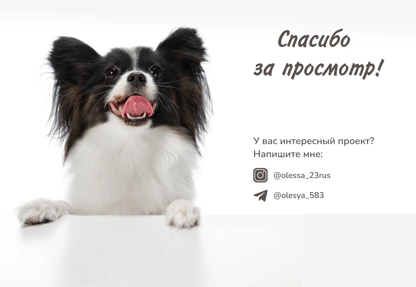 Furry Friends shop — Изображение №9 — Интерфейсы на Dprofile