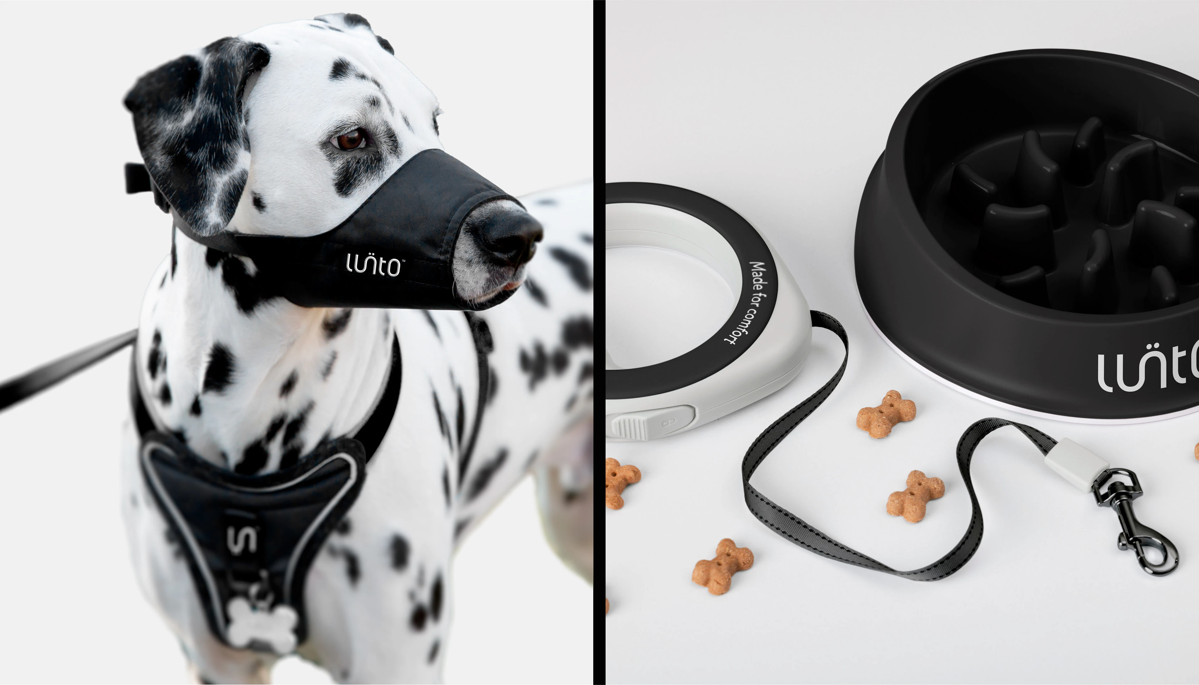 LUNTO Логотип, фирменный стиль, айдентика — Изображение №9 — Брендинг на Dprofile