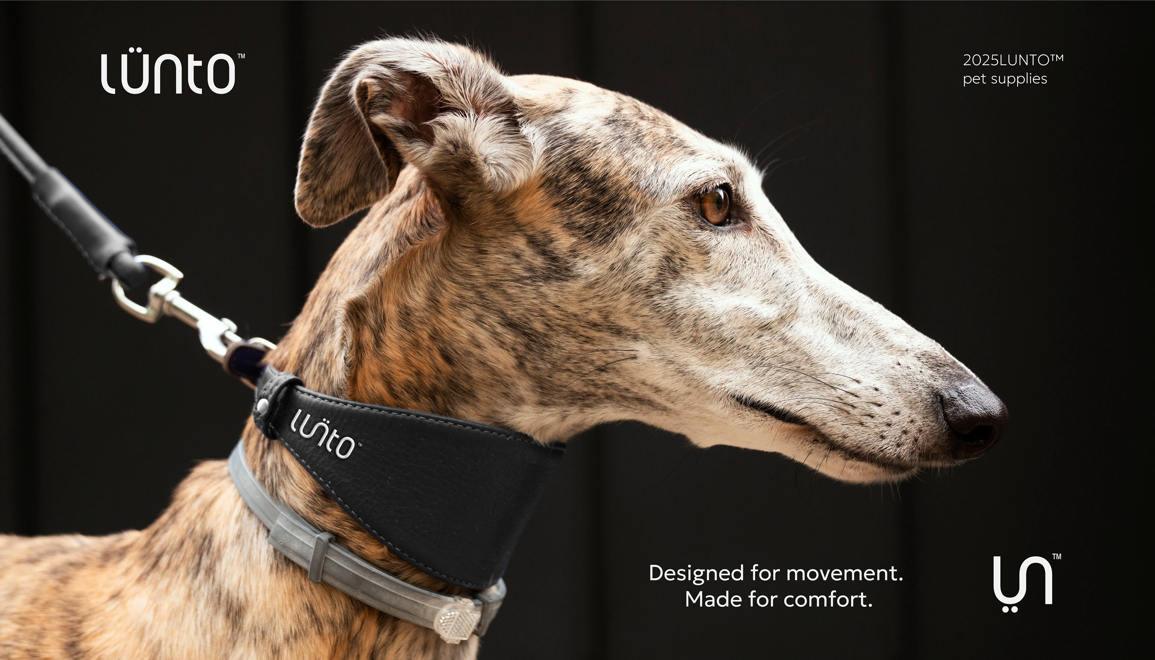 LUNTO Логотип, фирменный стиль, айдентика — Изображение №6 — Брендинг на Dprofile