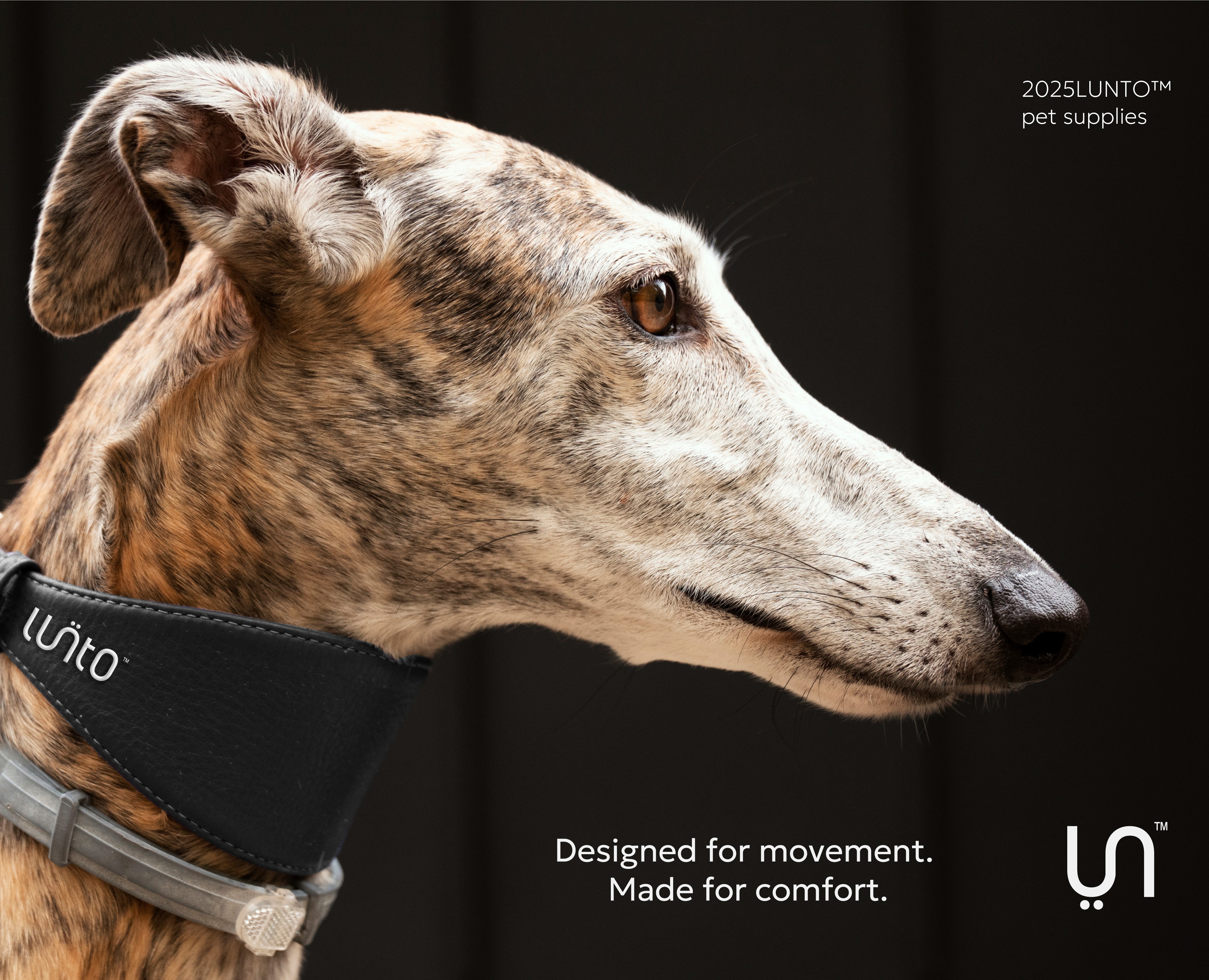 LUNTO Логотип, фирменный стиль, айдентика на Dprofile