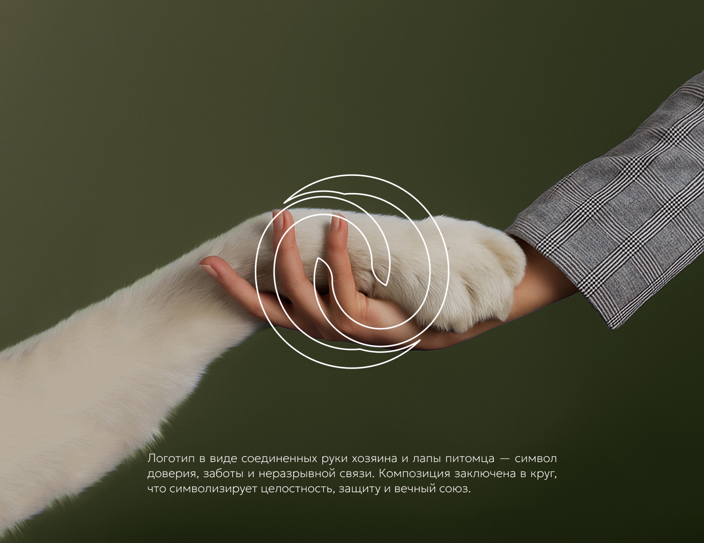 HEADER. Branding, Packaging & Web — Изображение №4 — Интерфейсы, Брендинг на Dprofile