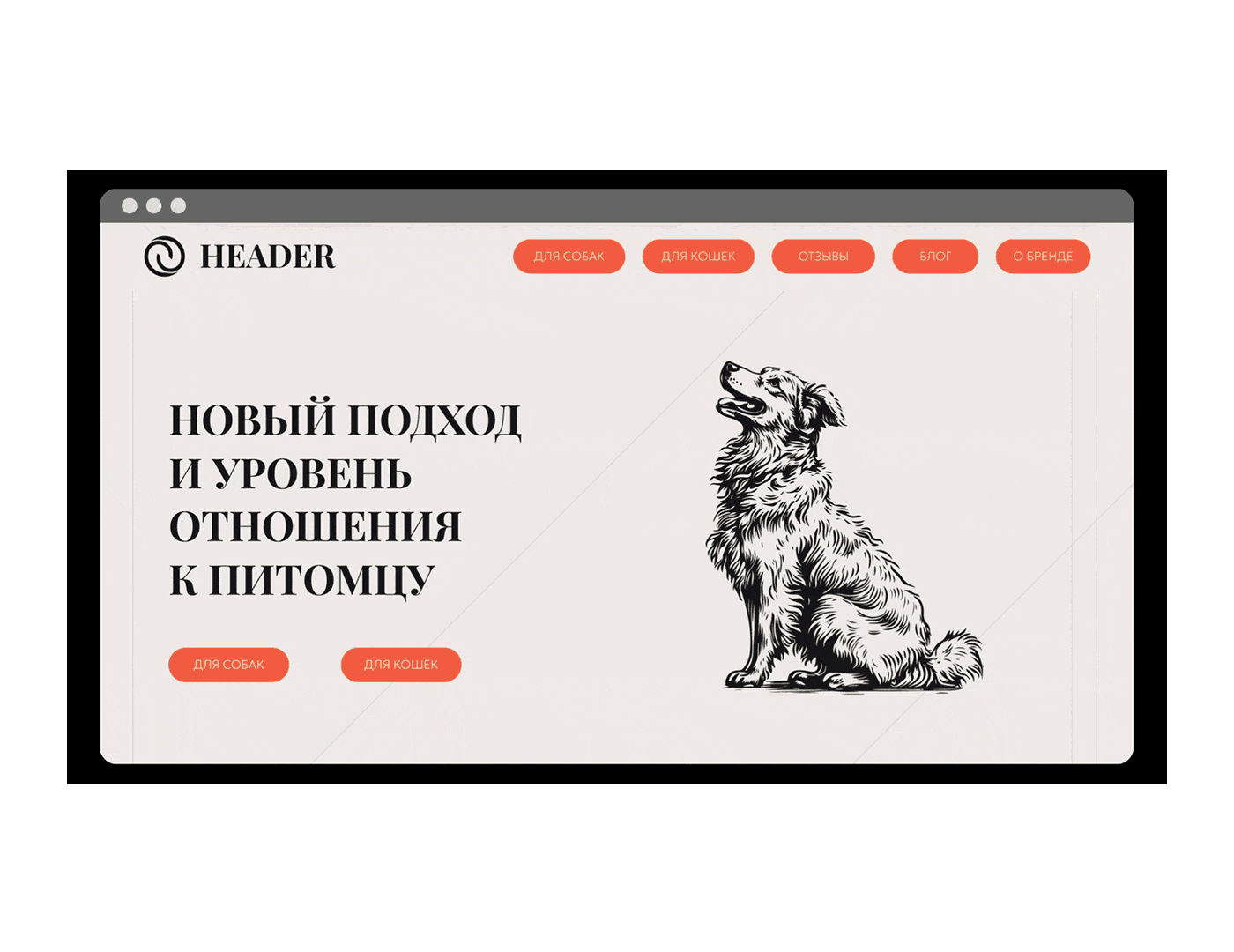 HEADER. Branding, Packaging & Web — Изображение №7 — Интерфейсы, Брендинг на Dprofile