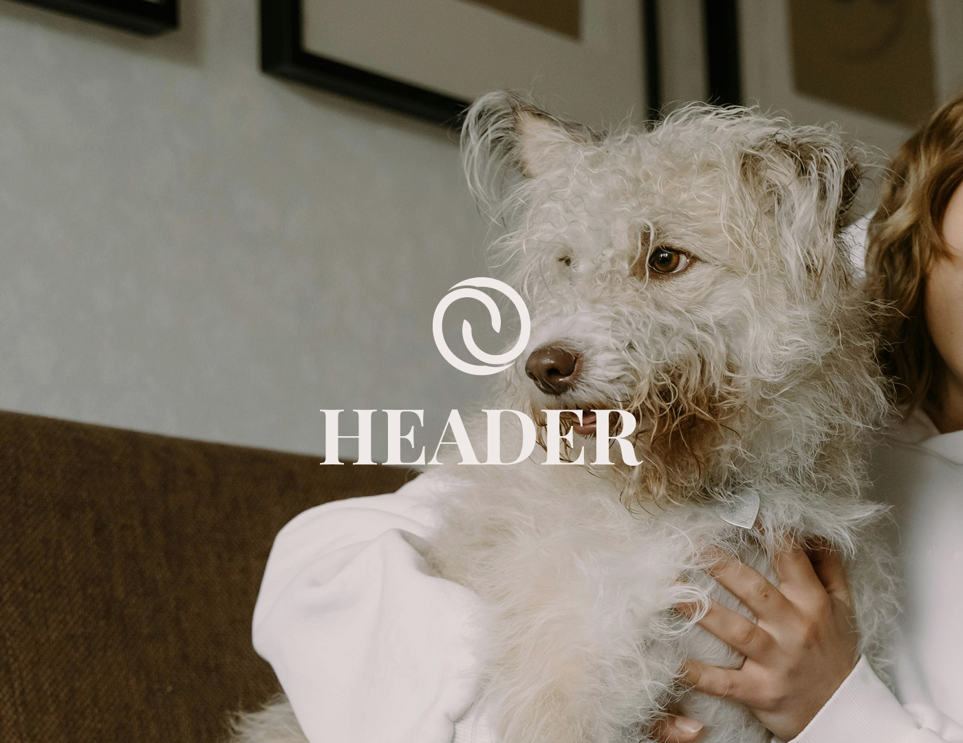 HEADER. Branding, Packaging & Web — Изображение №1 — Интерфейсы, Брендинг на Dprofile