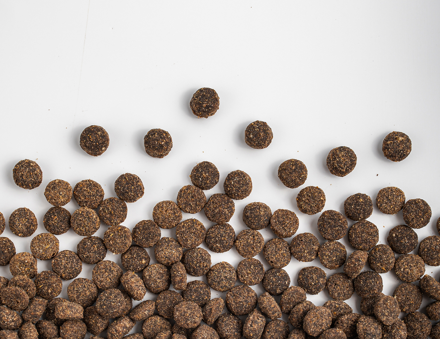 HEADER. Branding, Packaging & Web — Изображение №2 — Интерфейсы, Брендинг на Dprofile