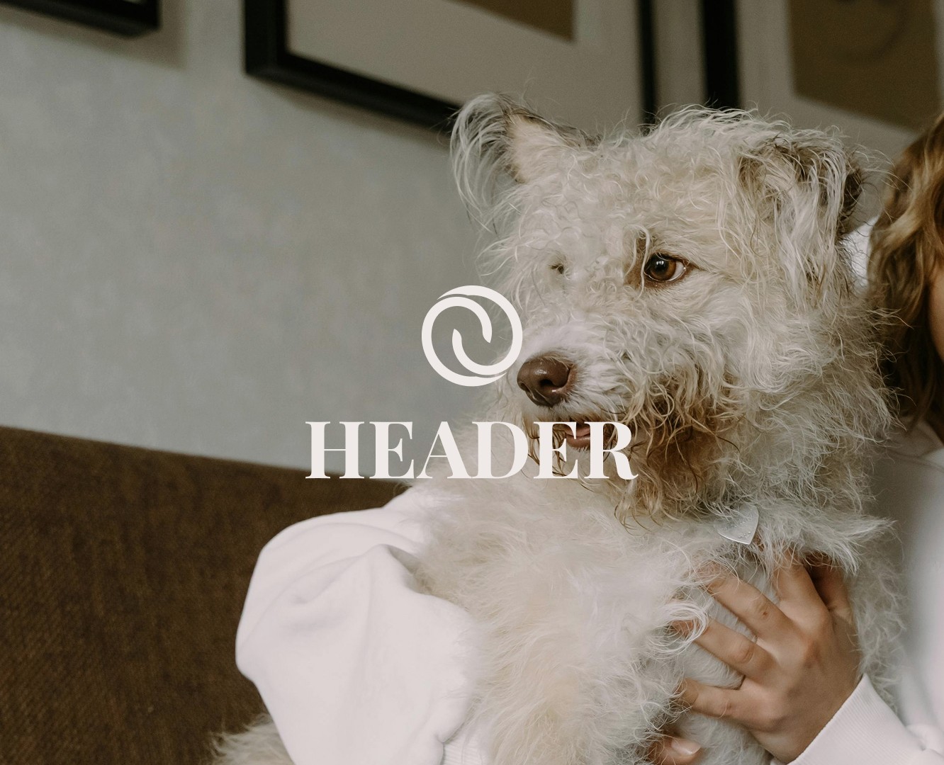 HEADER. Branding, Packaging & Web на Dprofile