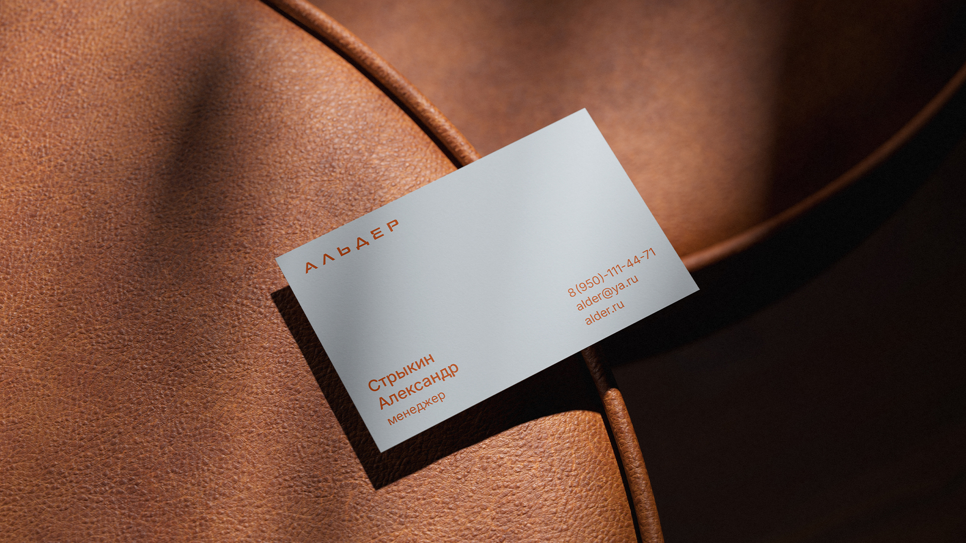 Фирменный стиль для ЖК «Альдер» — Изображение №6 — Брендинг на Dprofile