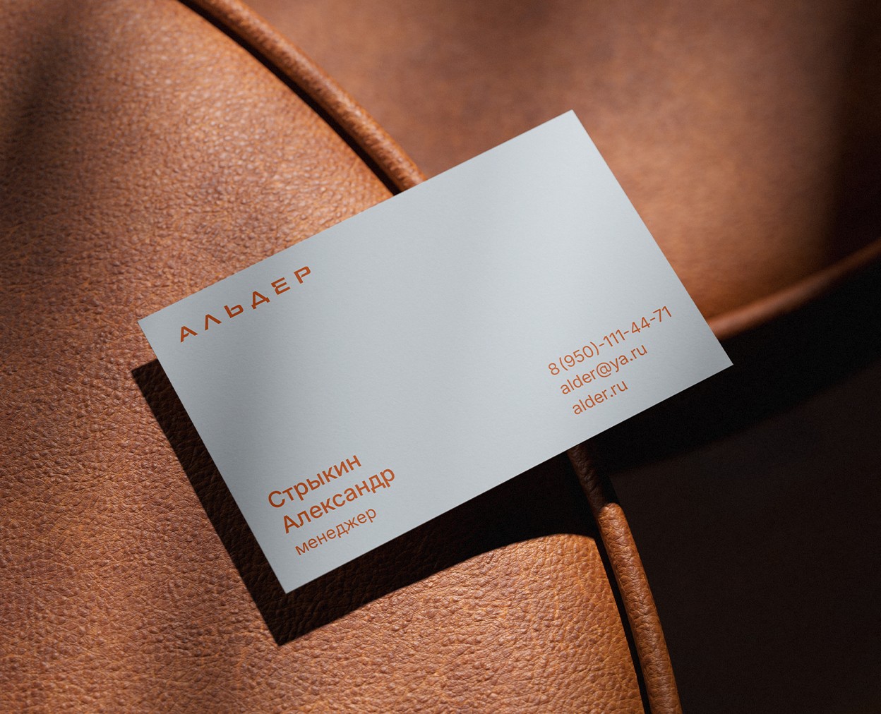 Фирменный стиль для ЖК «Альдер» на Dprofile