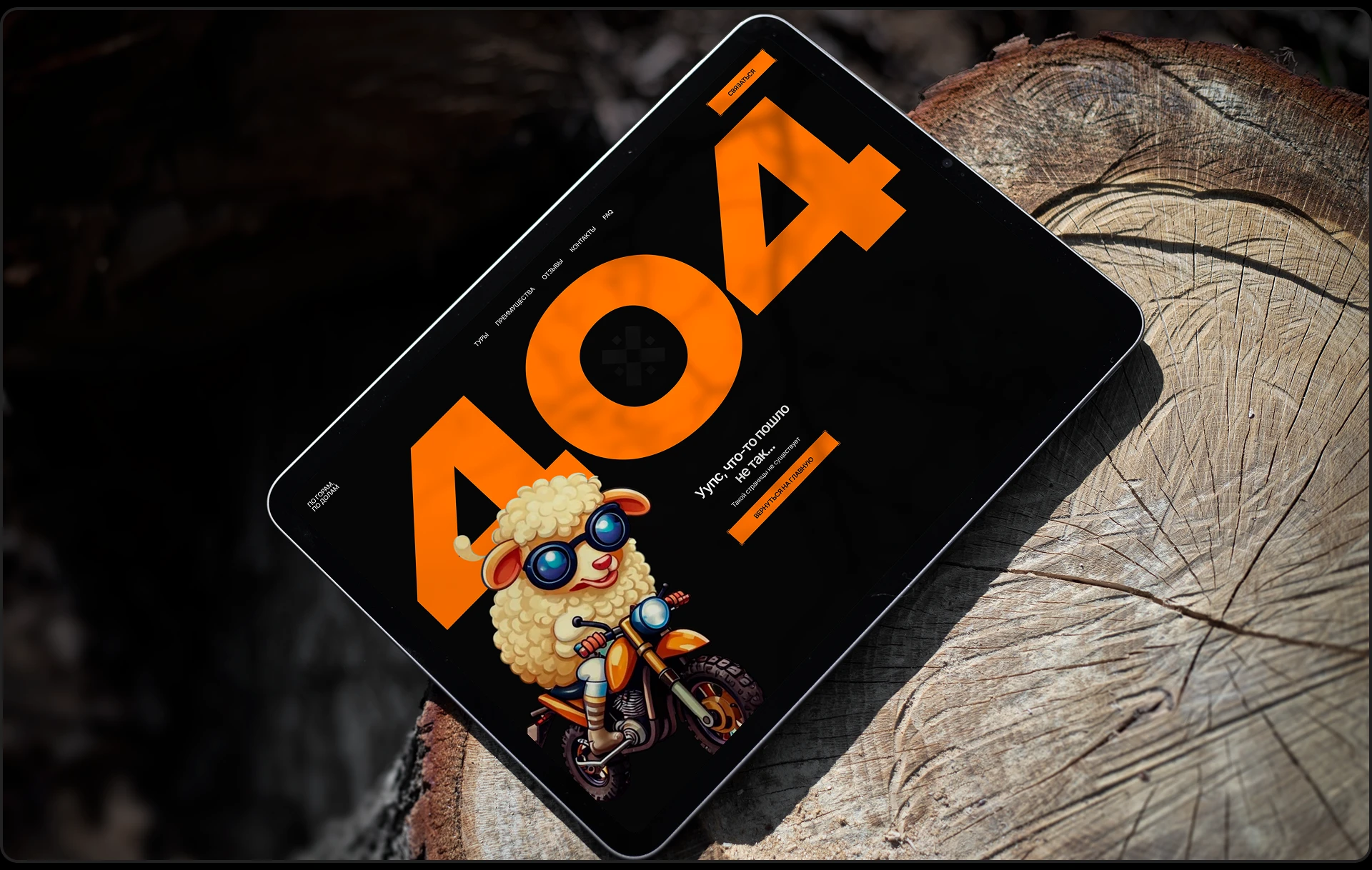 КОММЕРЧЕСКИЙ ПРОЕКТ | ПО ГОРАМ, ПО ДОЛАМ — Изображение №6 — Интерфейсы на Dprofile