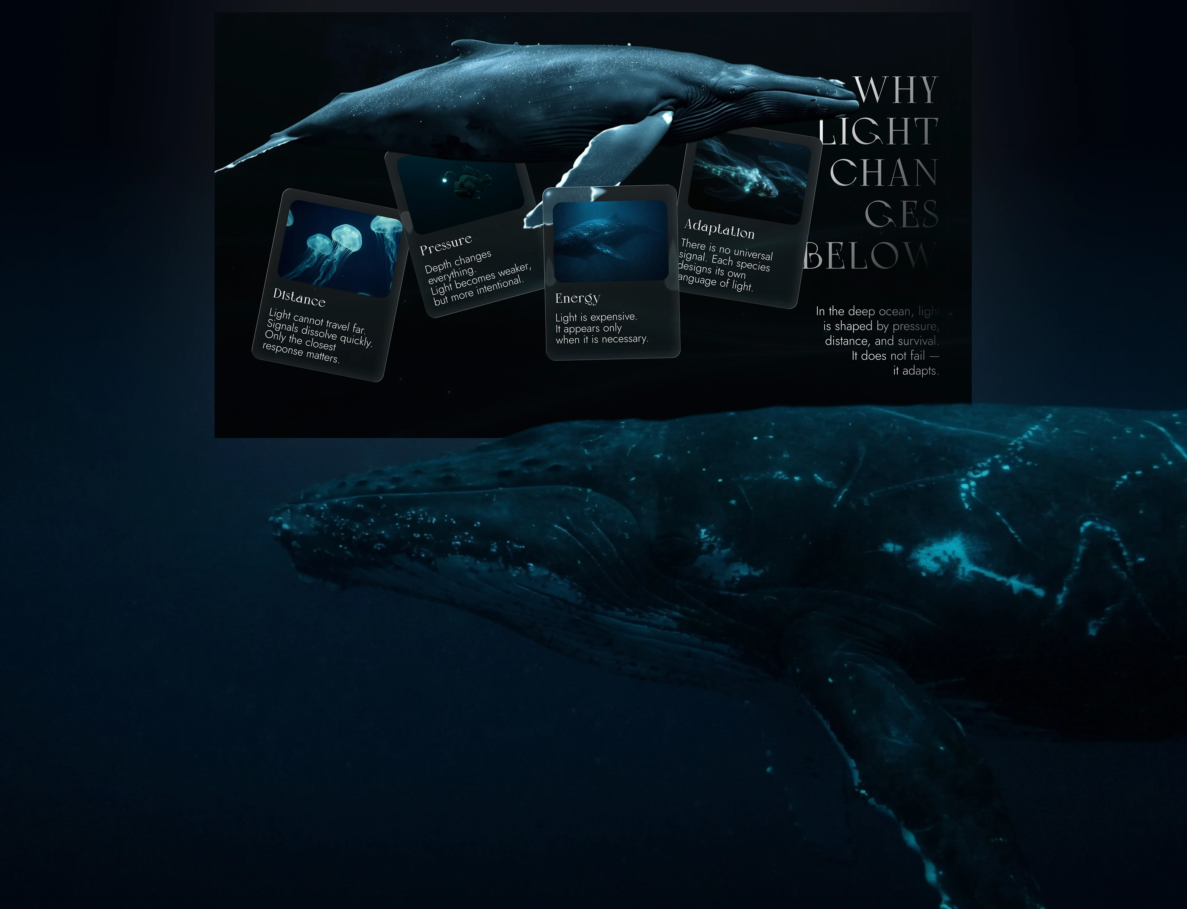 Презентация, Presentation design, Дизайн презентации — Изображение №5 — Интерфейсы на Dprofile