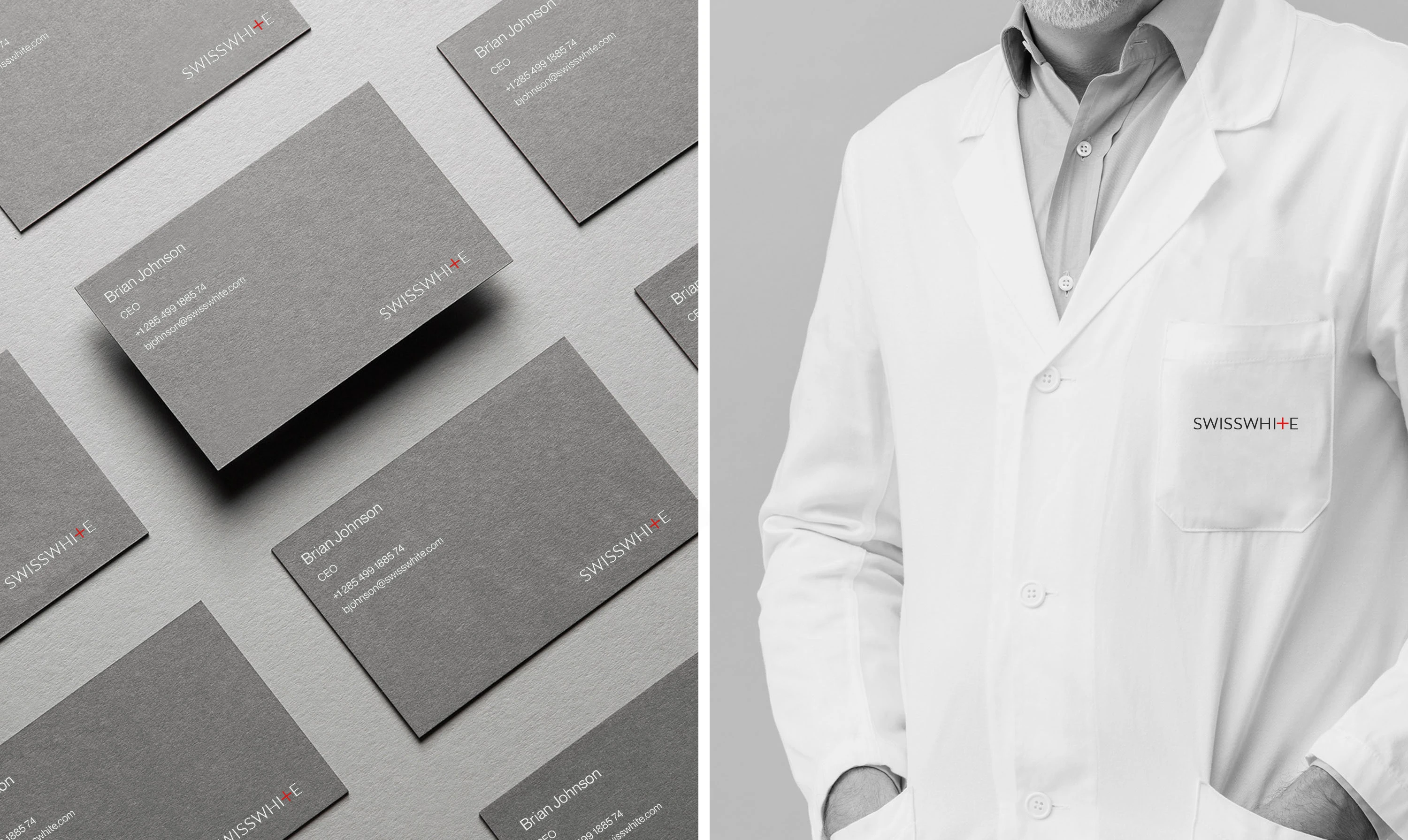 Swisswhite — Изображение №11 — Интерфейсы, Брендинг на Dprofile