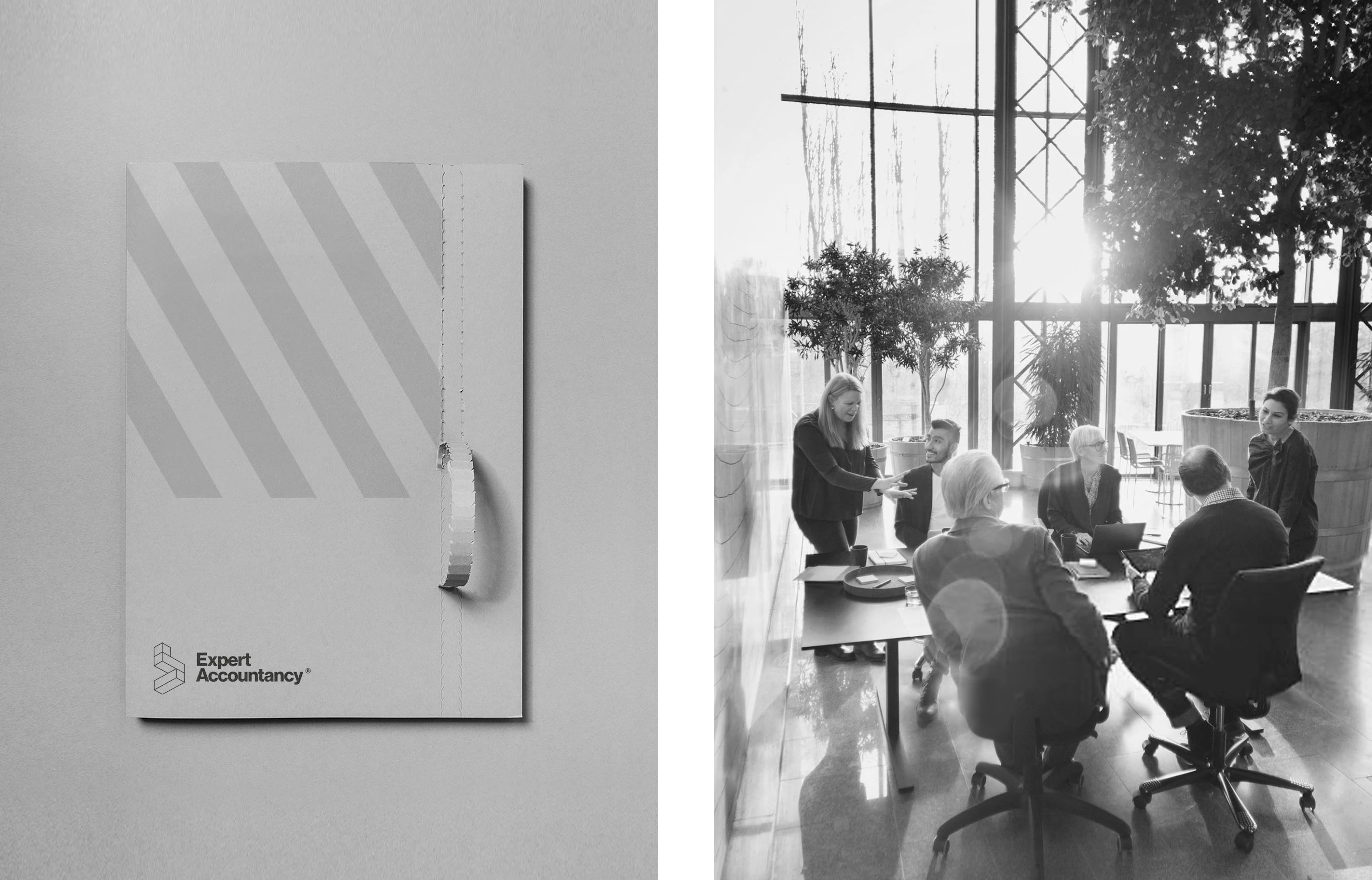 Expert Accountancy — Изображение №11 — Интерфейсы, Брендинг на Dprofile