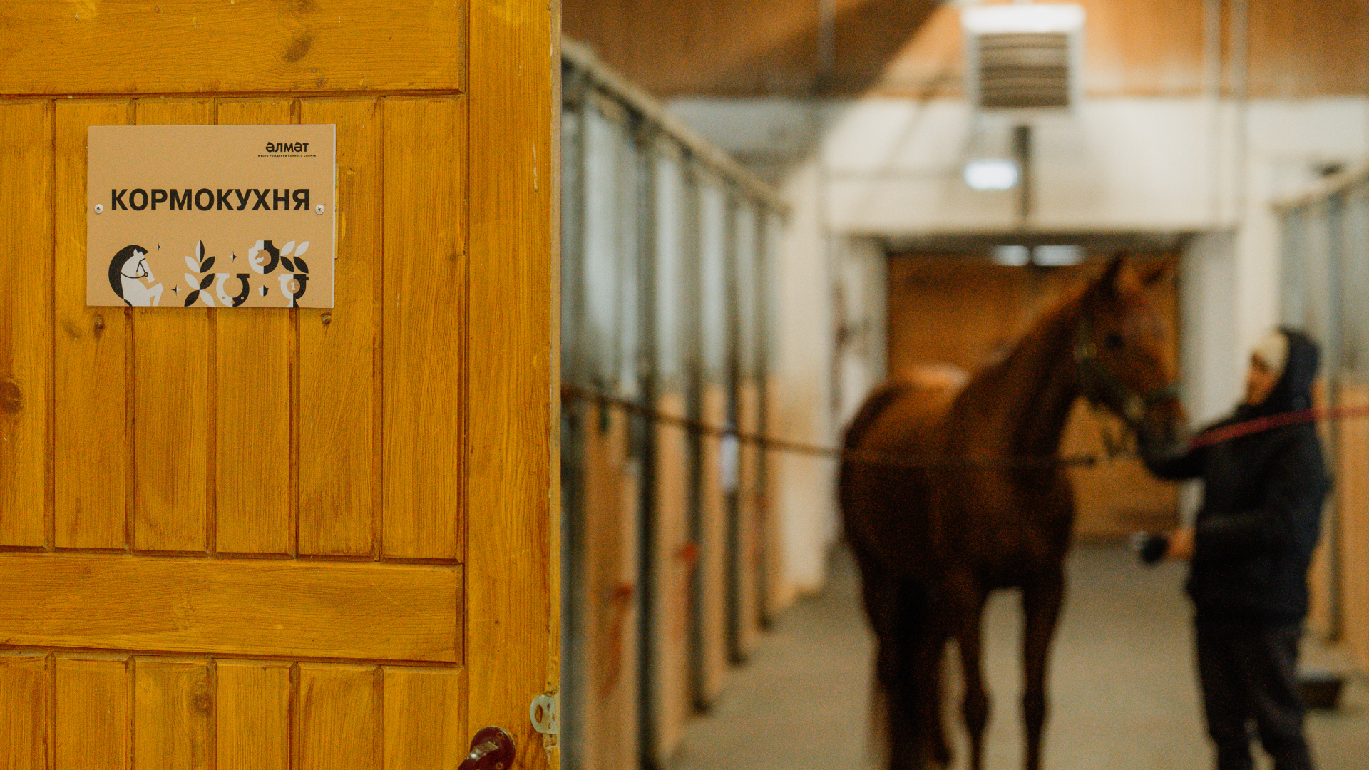 Альметьевск — Брендинг и Стратегия — Изображение №43 — Брендинг, Графика на Dprofile