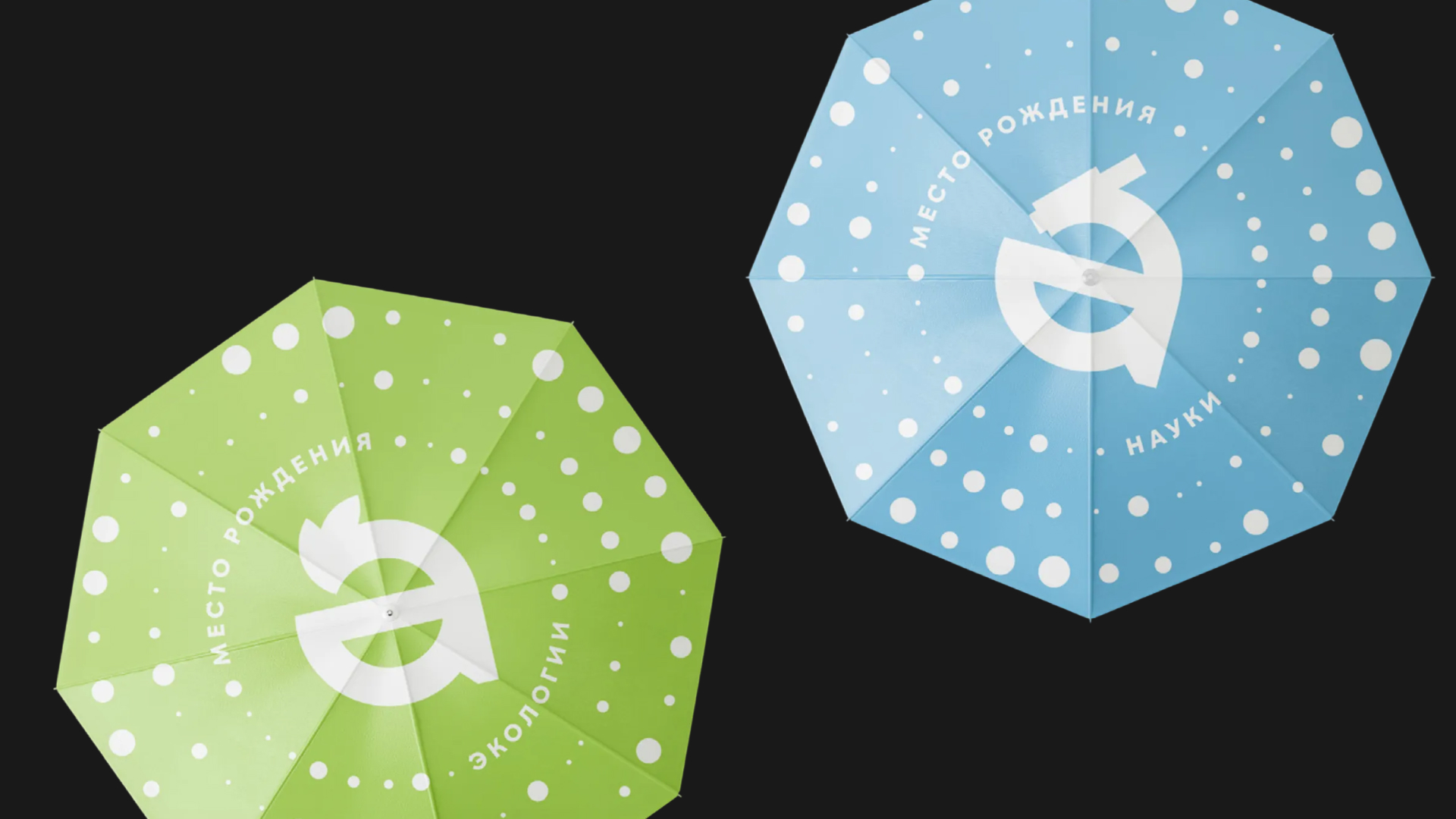 Альметьевск — Брендинг и Стратегия — Изображение №26 — Брендинг, Графика на Dprofile