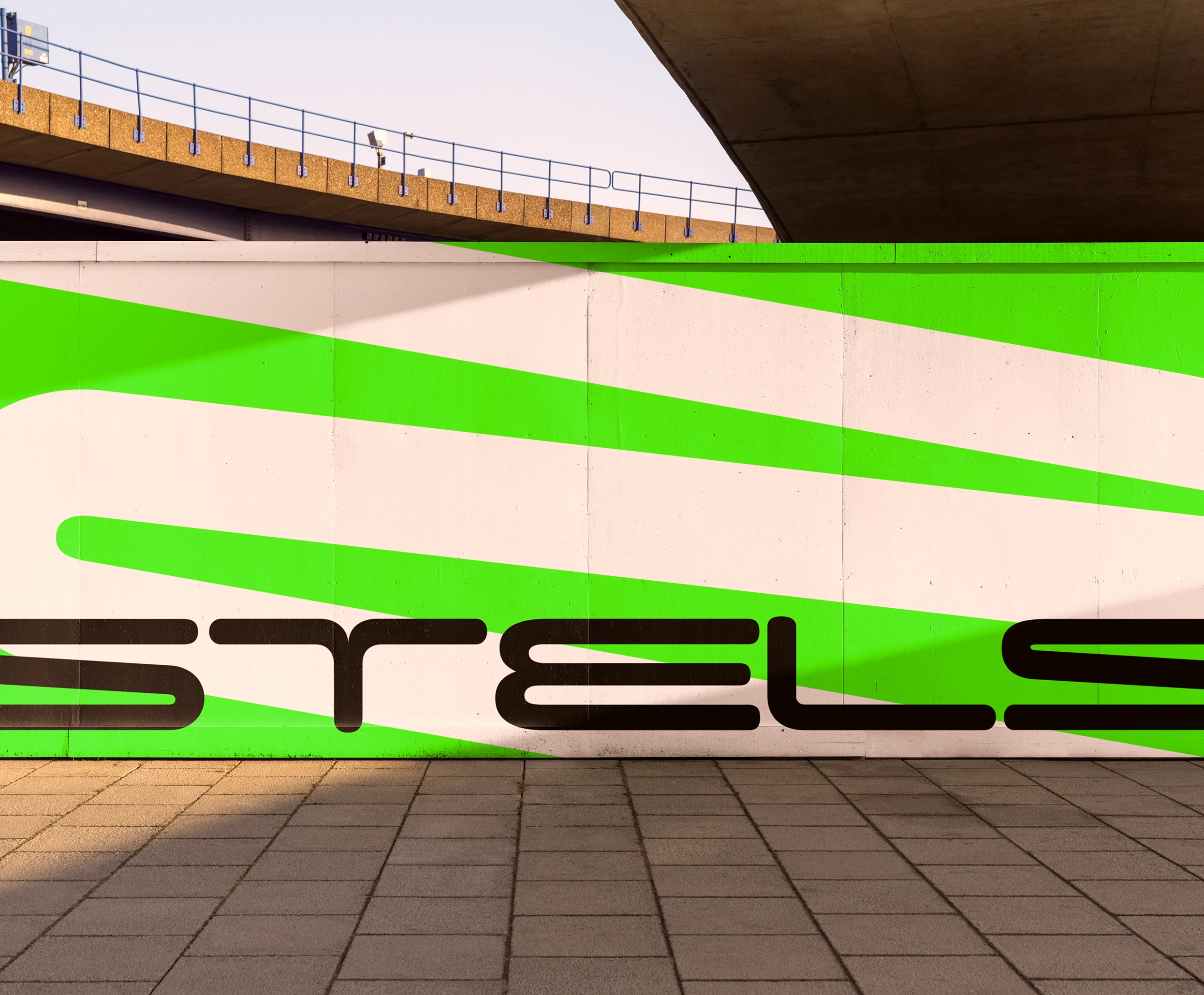 Stels — брендинг и стратегия — Изображение №1 — Брендинг, Графика на Dprofile