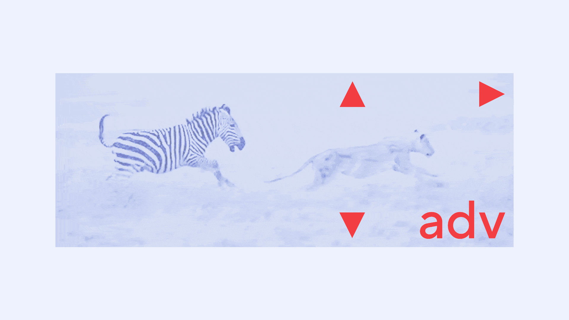 ADV — Изображение №8 — Брендинг, Графика на Dprofile