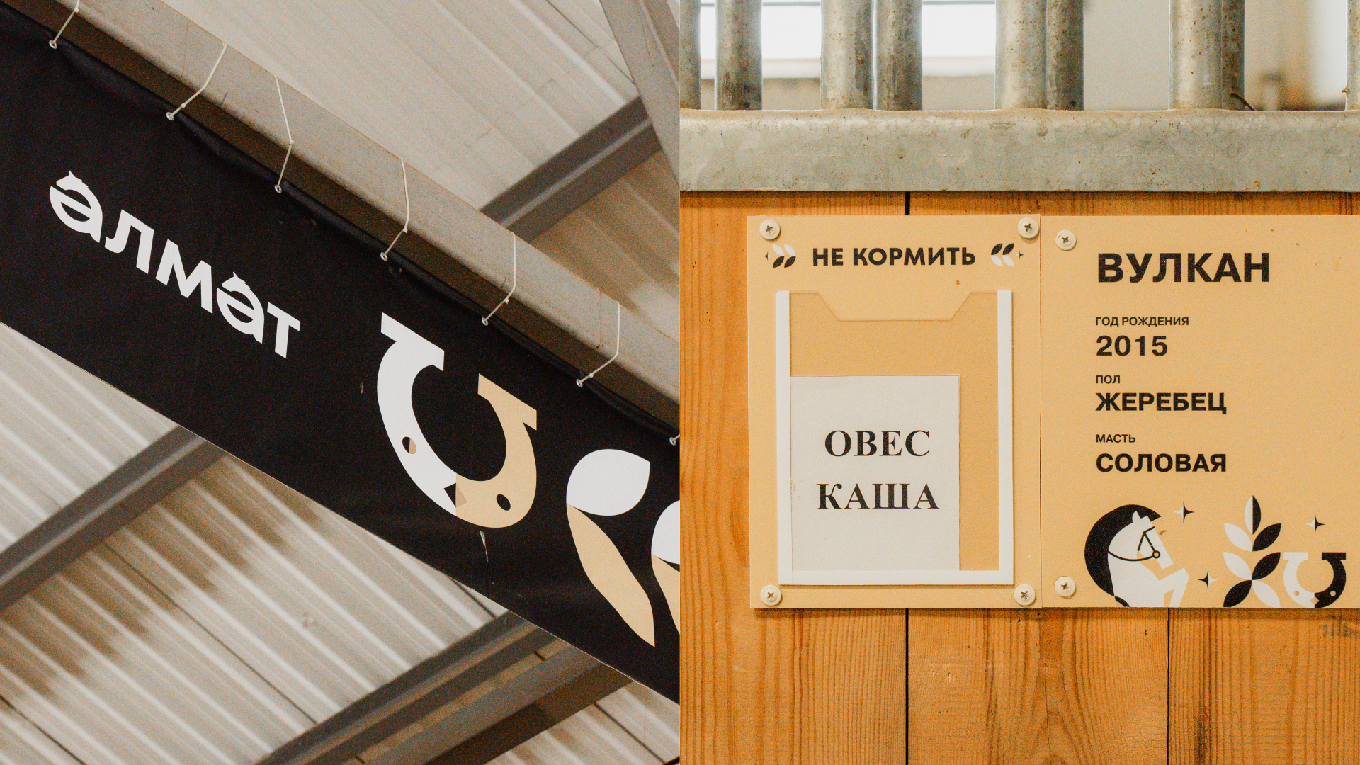 Альметьевск — Брендинг и Стратегия — Изображение №42 — Брендинг, Графика на Dprofile