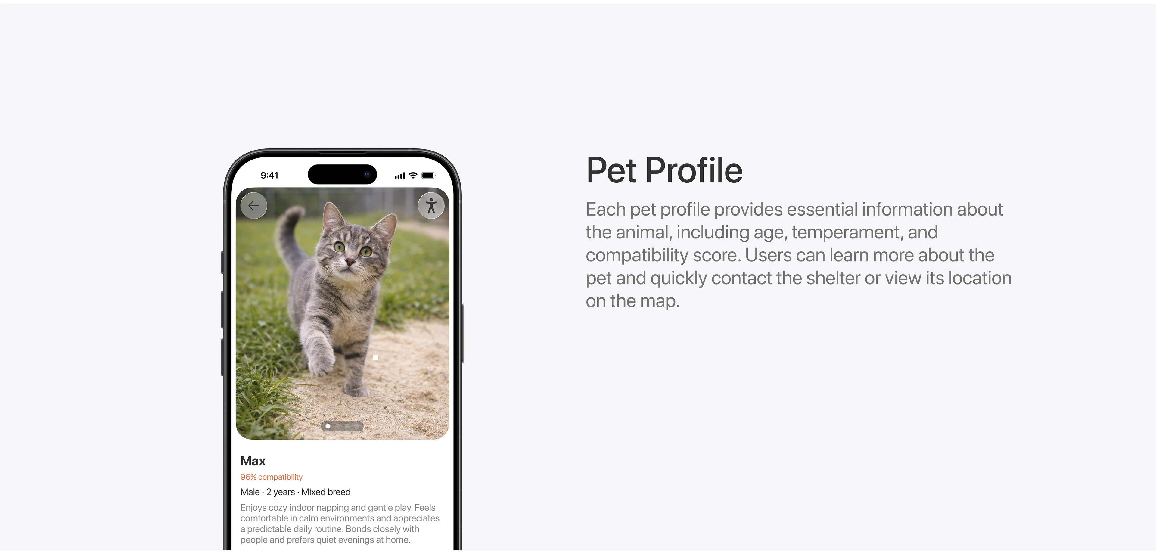 Adoptly — Pet Adoption Mobile App — Изображение №14 — Интерфейсы на Dprofile