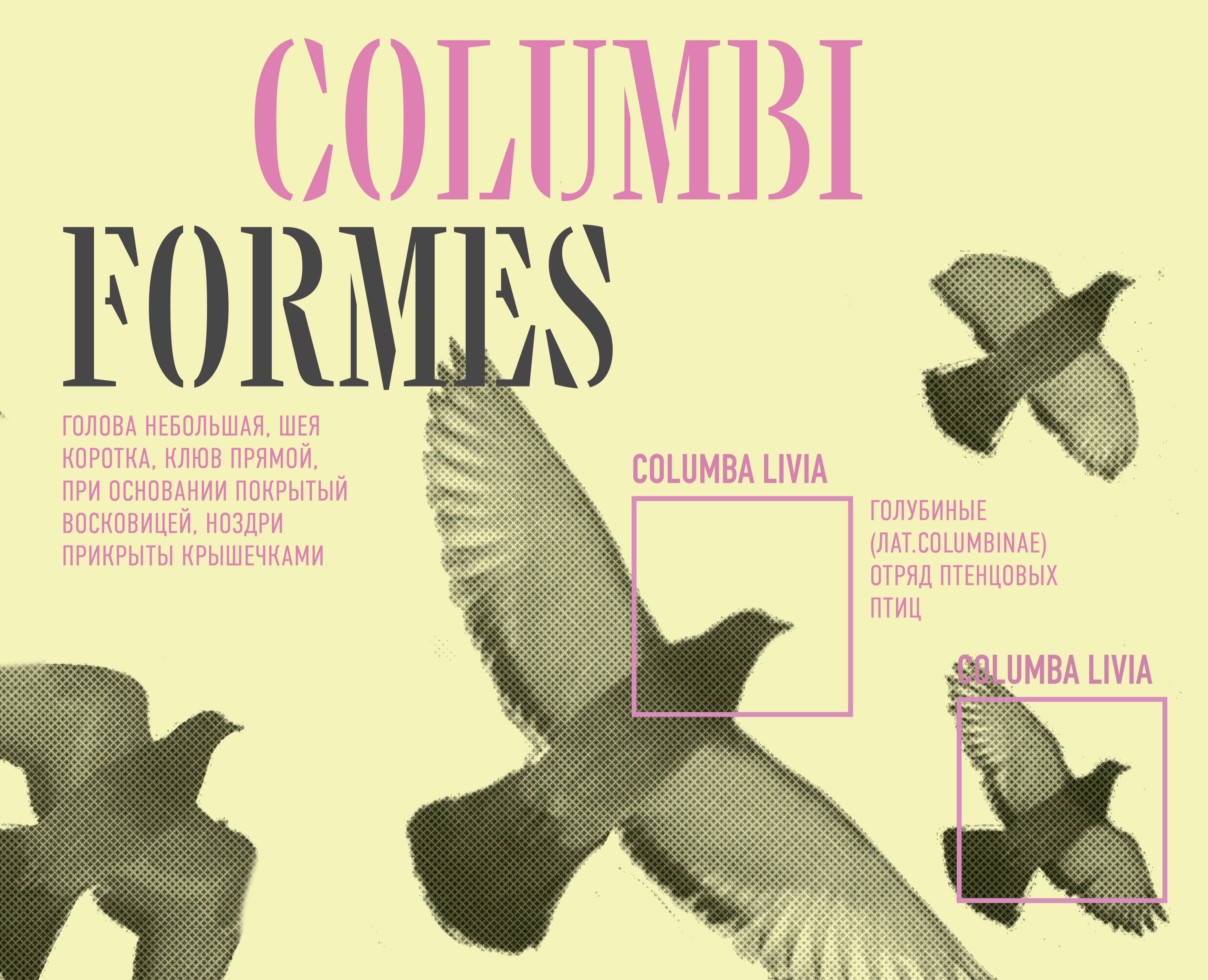 Коллекция плакатов 2024-2025 — Графика на Dprofile