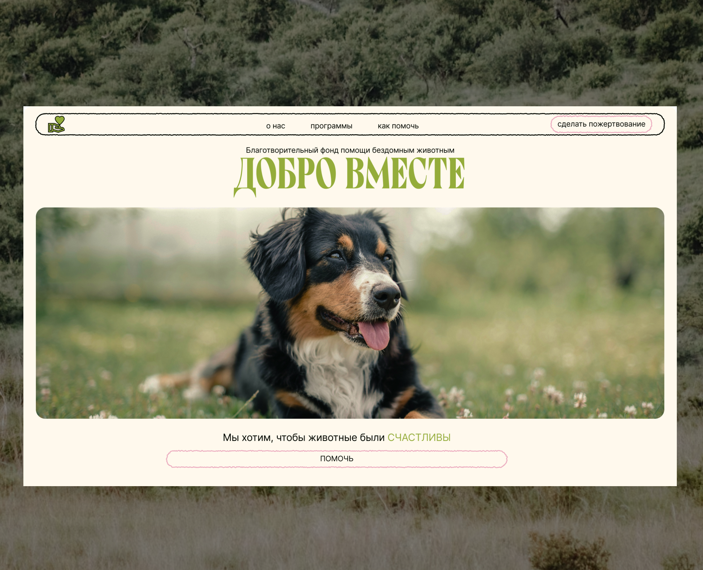 Лендинг для благотворительного фонда — Интерфейсы, Брендинг на Dprofile