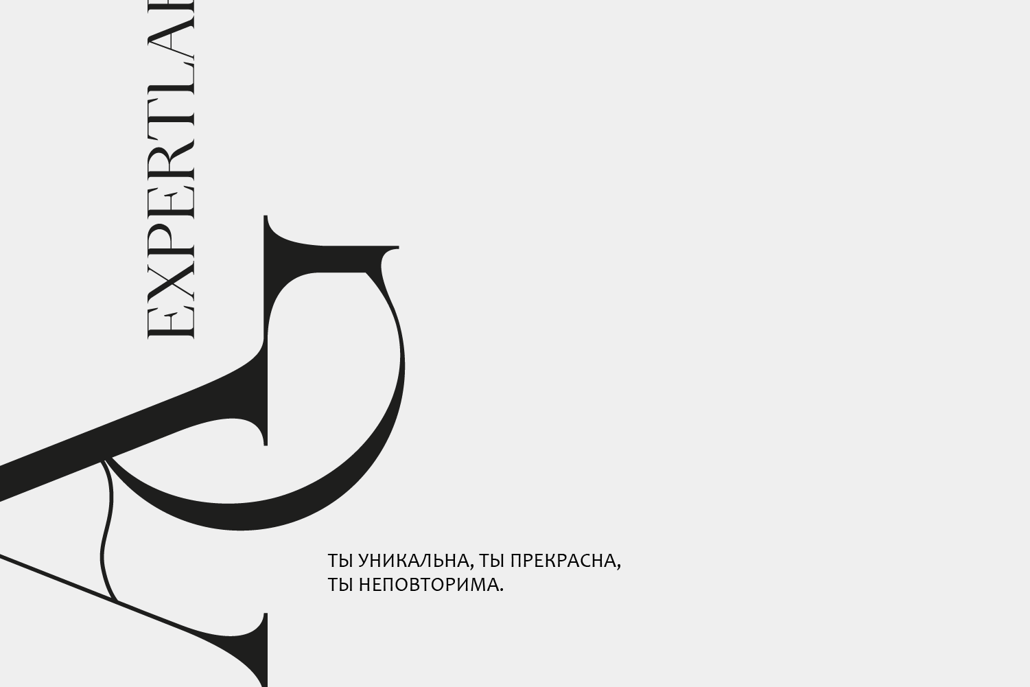 ЛОГОТИП / АНИКО ГОГОЛАШВИЛИ / ПАРИКМАХЕРСКОЕ ИСКУССТВО — Изображение №2 — Брендинг на Dprofile