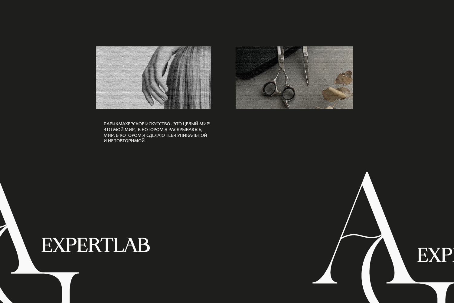 ЛОГОТИП / АНИКО ГОГОЛАШВИЛИ / ПАРИКМАХЕРСКОЕ ИСКУССТВО — Изображение №4 — Брендинг на Dprofile