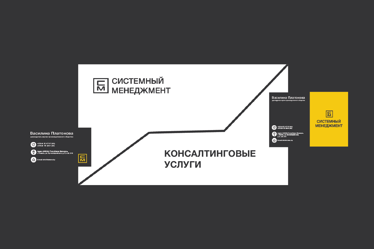 ЛОГОТИП / МЕНЕДЖМЕНТ / КОНСАЛТИНГОВЫЕ УСЛУГИ — Изображение №5 — Брендинг на Dprofile