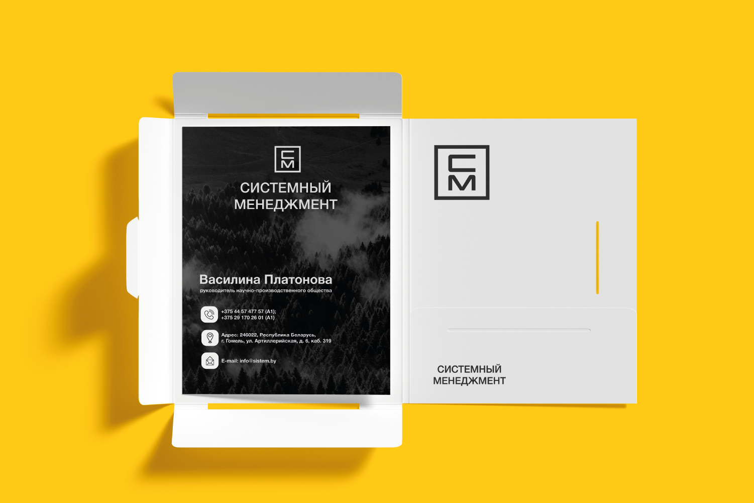 ЛОГОТИП / МЕНЕДЖМЕНТ / КОНСАЛТИНГОВЫЕ УСЛУГИ — Изображение №14 — Брендинг на Dprofile