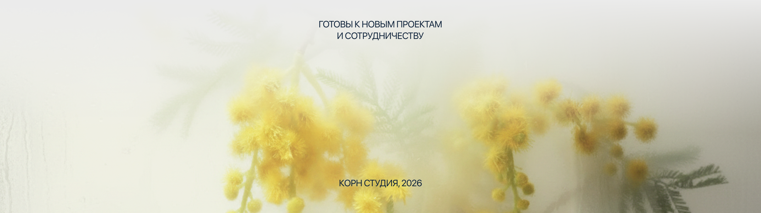 Fredericksburg Rentals UI/UX Дизайн — Изображение №12 — Интерфейсы на Dprofile