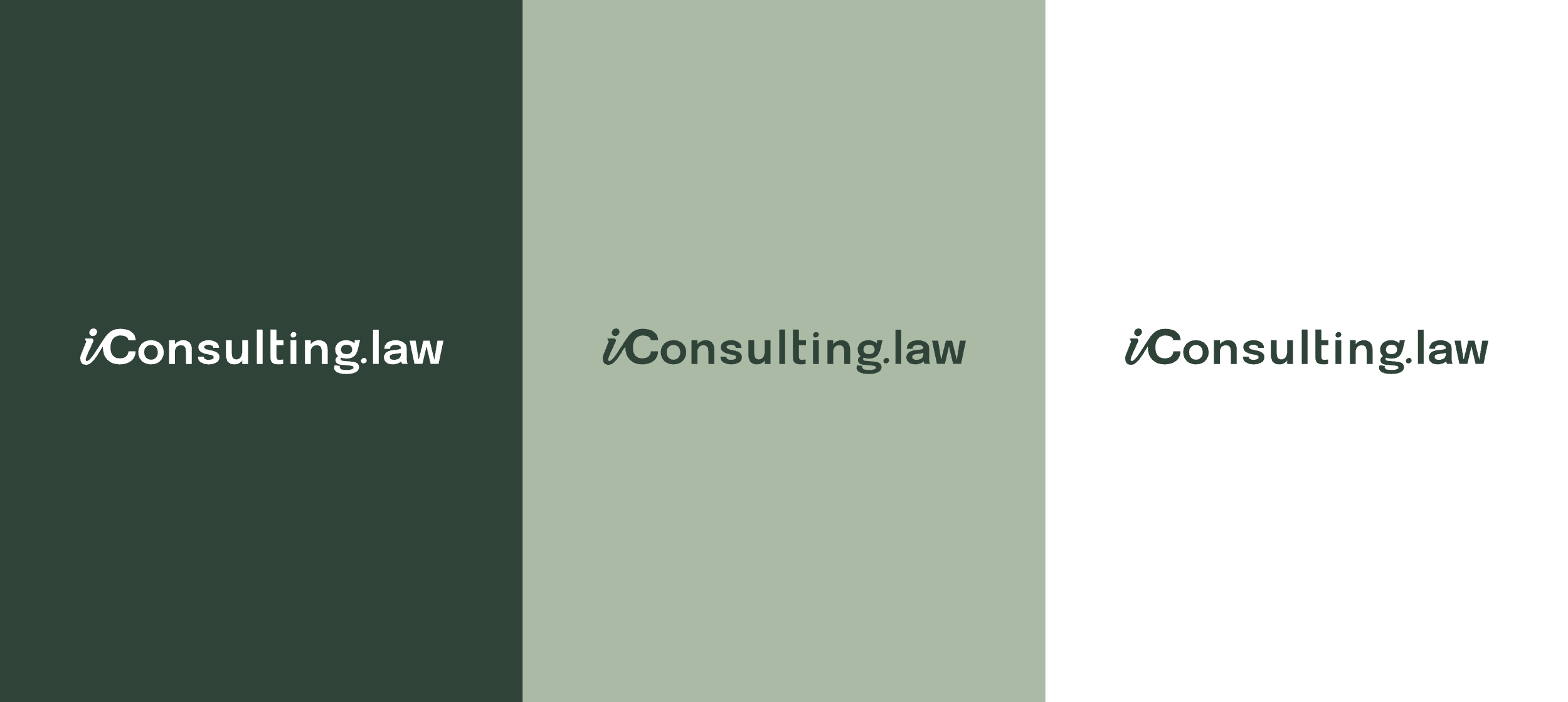 iConsulting | Website design & Brand Identity — Изображение №4 — Интерфейсы, Брендинг на Dprofile