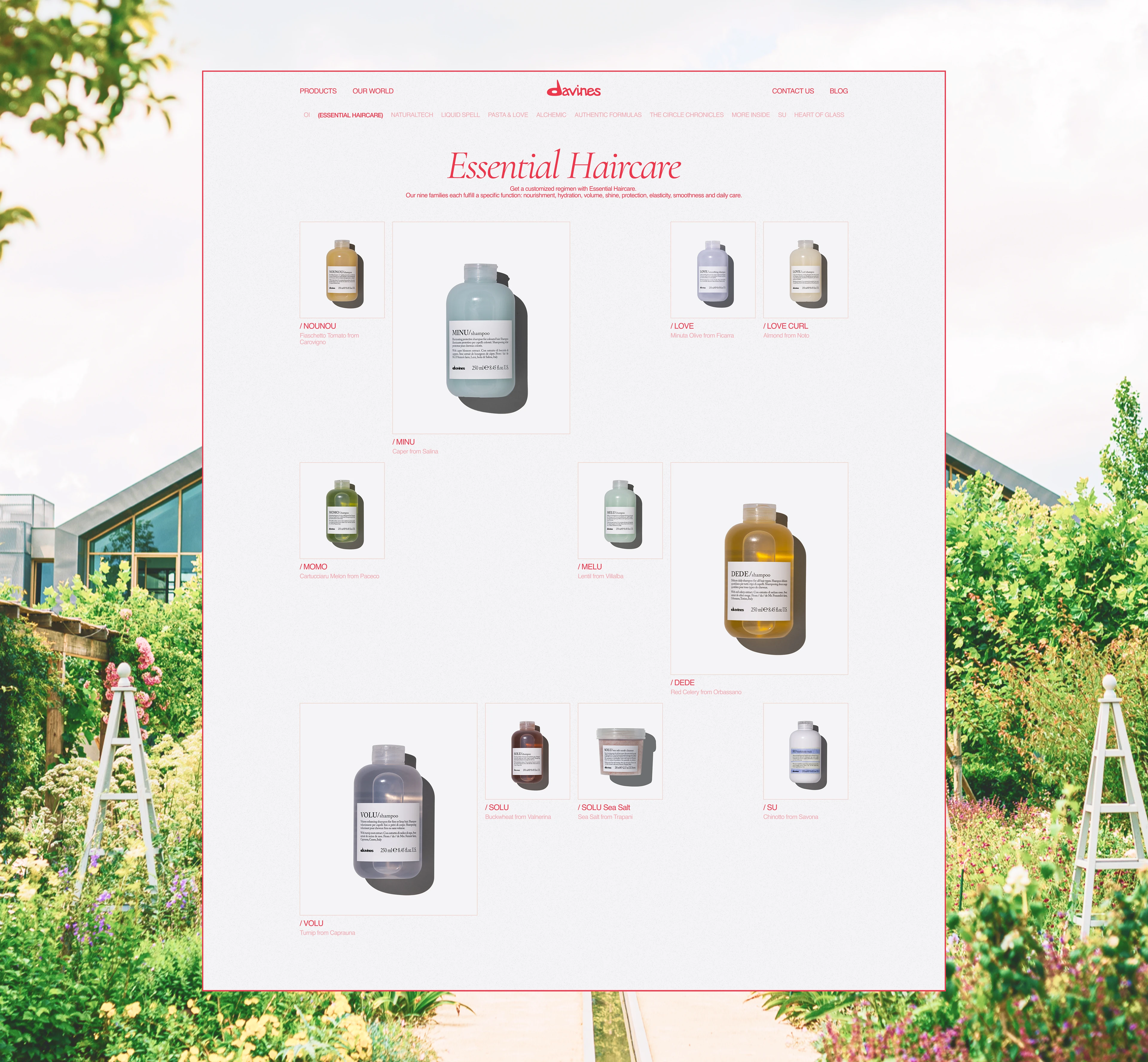 DAVINES | Corporate website | UX/UI design — Изображение №5 — Интерфейсы на Dprofile