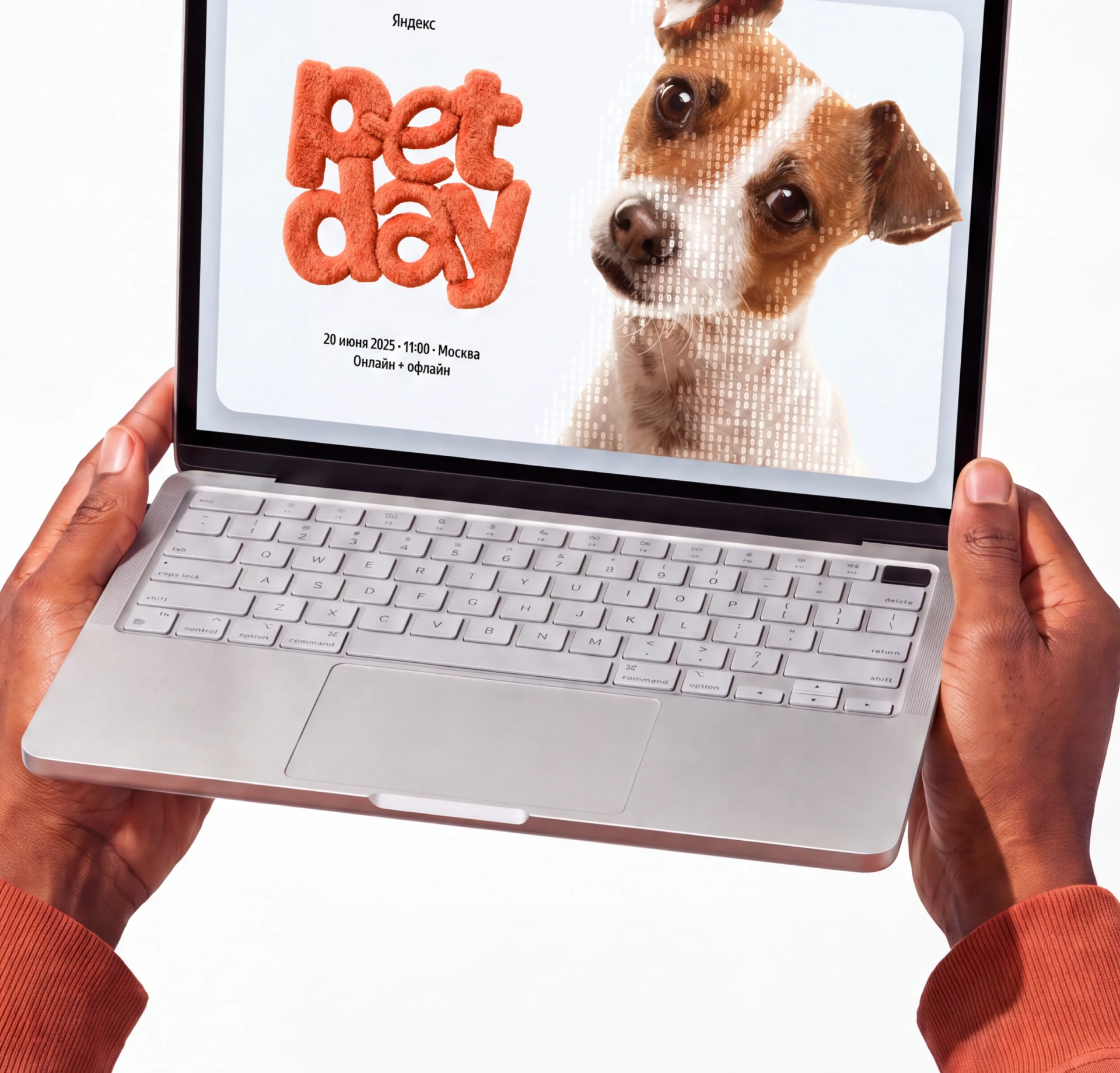 Яндекс Pet day | Веб-дизайн — Изображение №2 — Интерфейсы на Dprofile