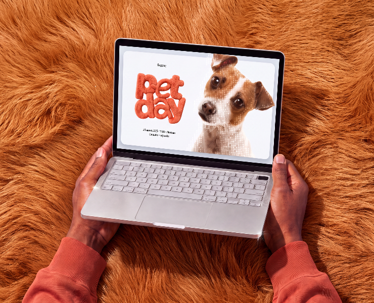 Яндекс Pet day | Веб-дизайн на Dprofile