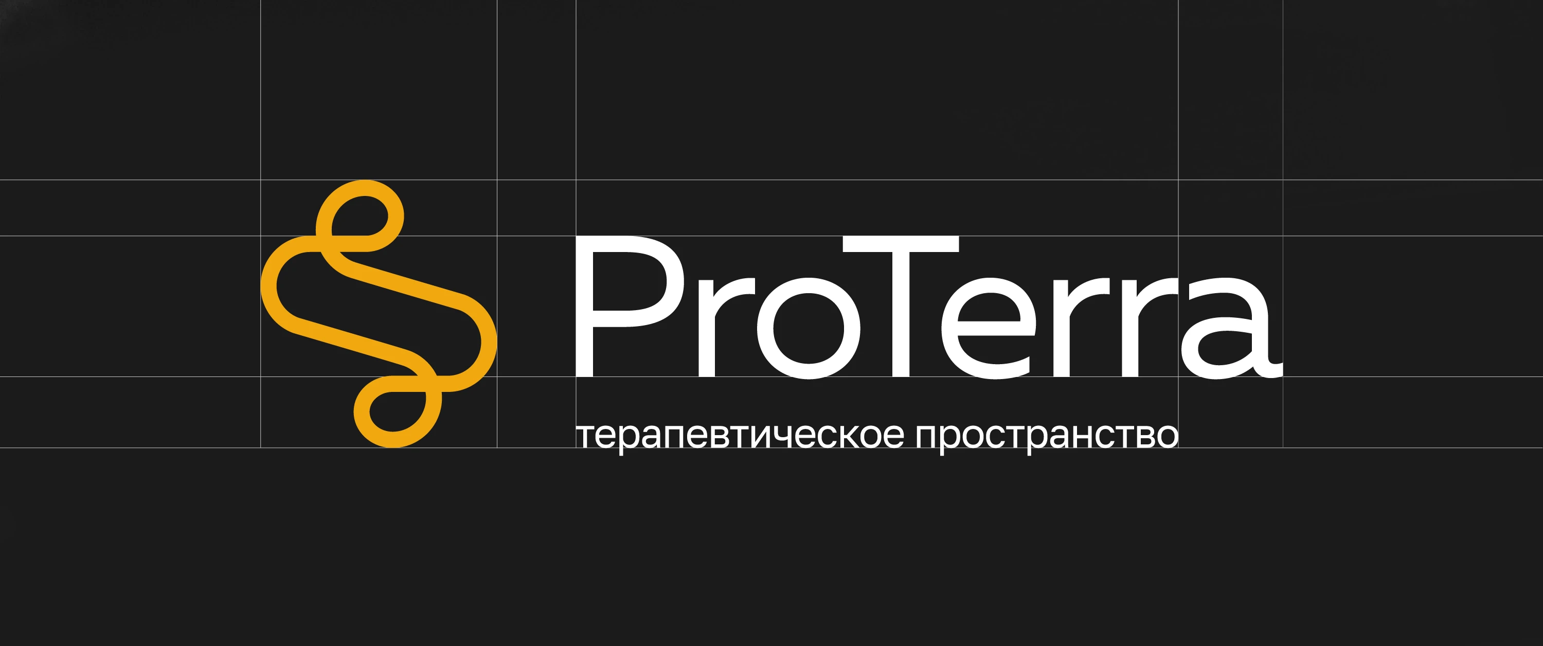 ProTerra | Логотип психотерапевтического пространства — Изображение №2 — Брендинг на Dprofile