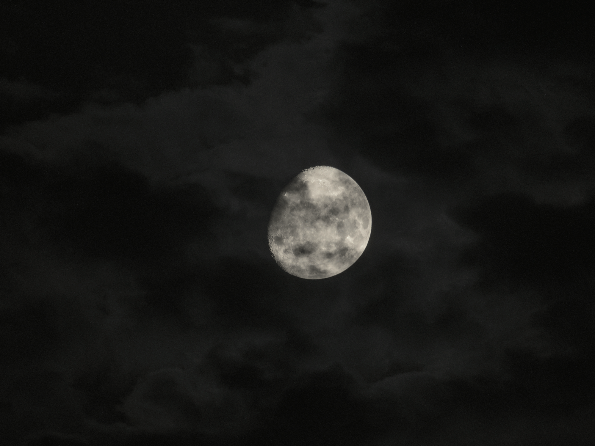 RED MOON. MANUL | Event Concept — Изображение №17 — Брендинг на Dprofile