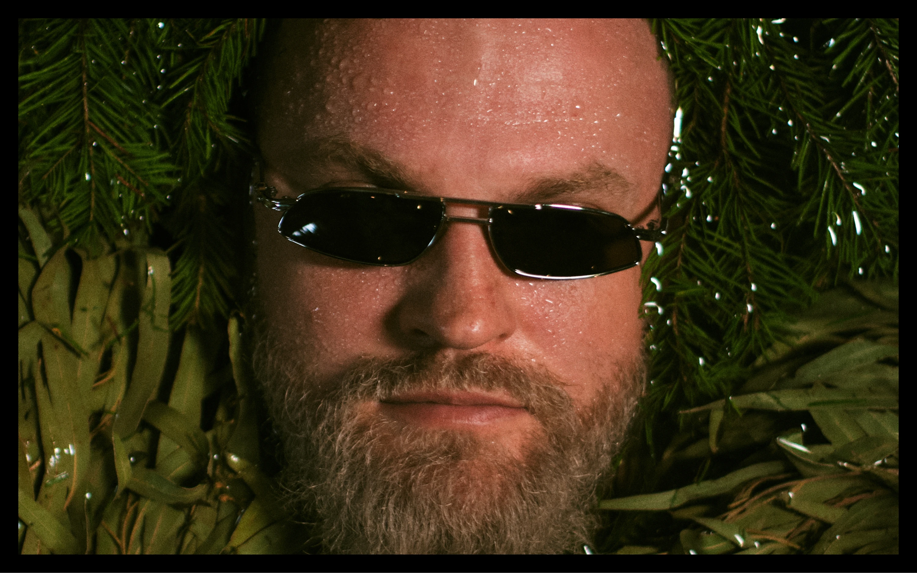 НЕСТОР | Personal Brand — Изображение №1 — Брендинг, Маркетинг на Dprofile