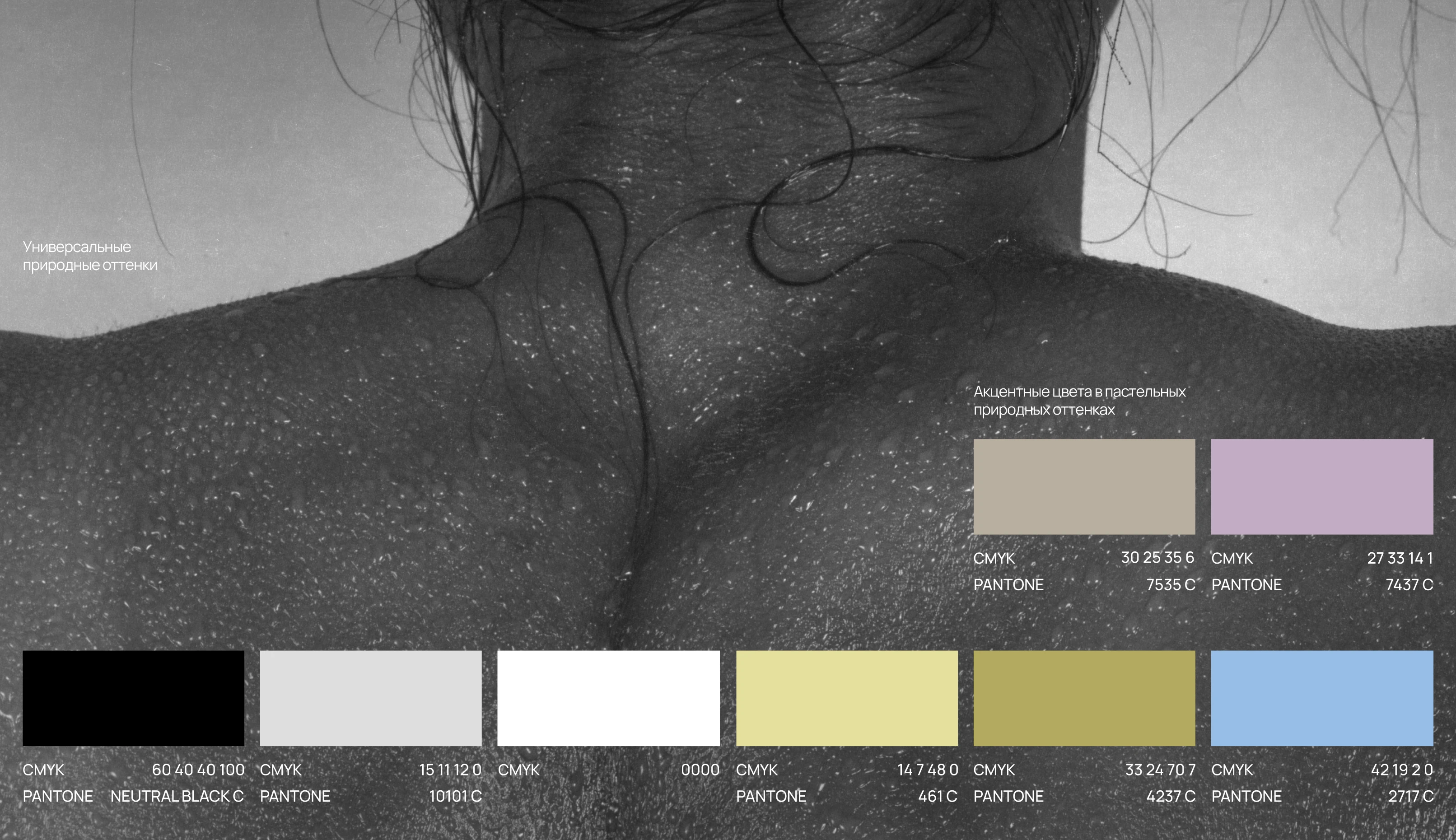 SAHARVOSK | Rebranding — Изображение №5 — Брендинг на Dprofile