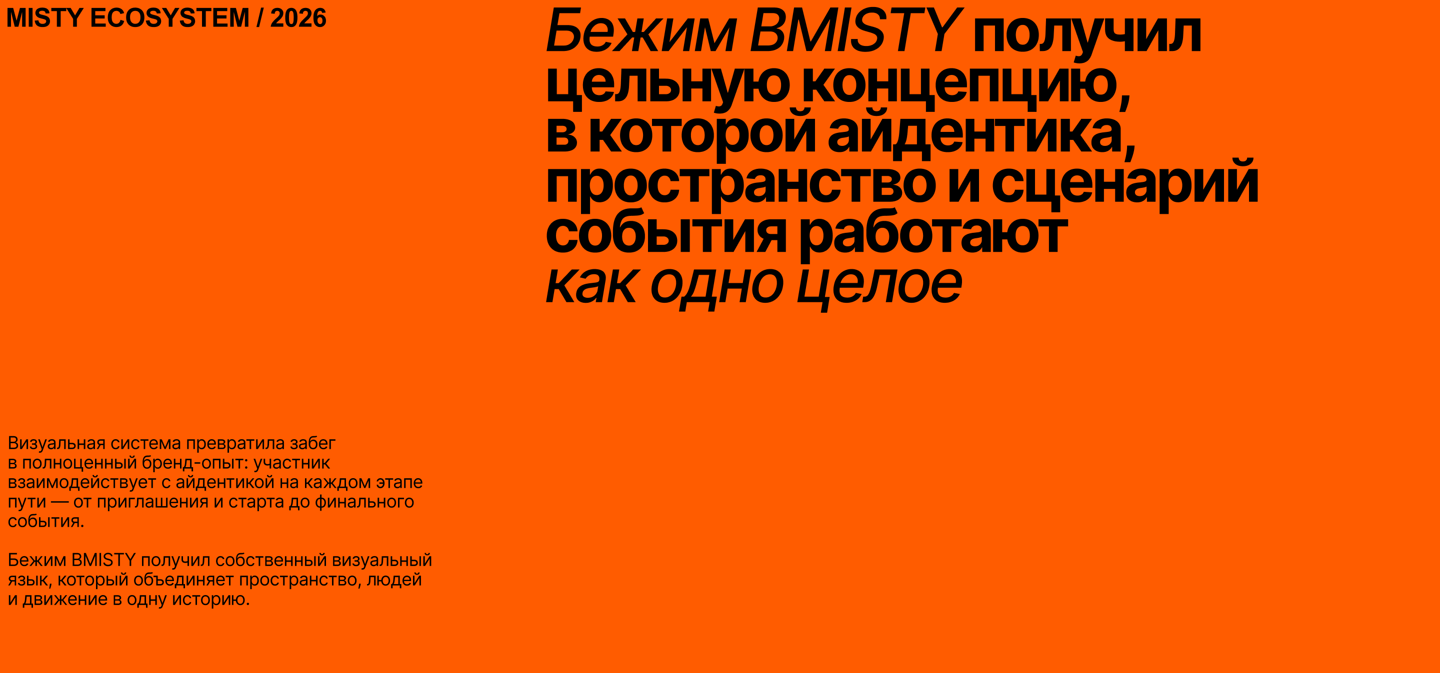 Бежим ВMisty — Изображение №10 — Брендинг, Маркетинг на Dprofile