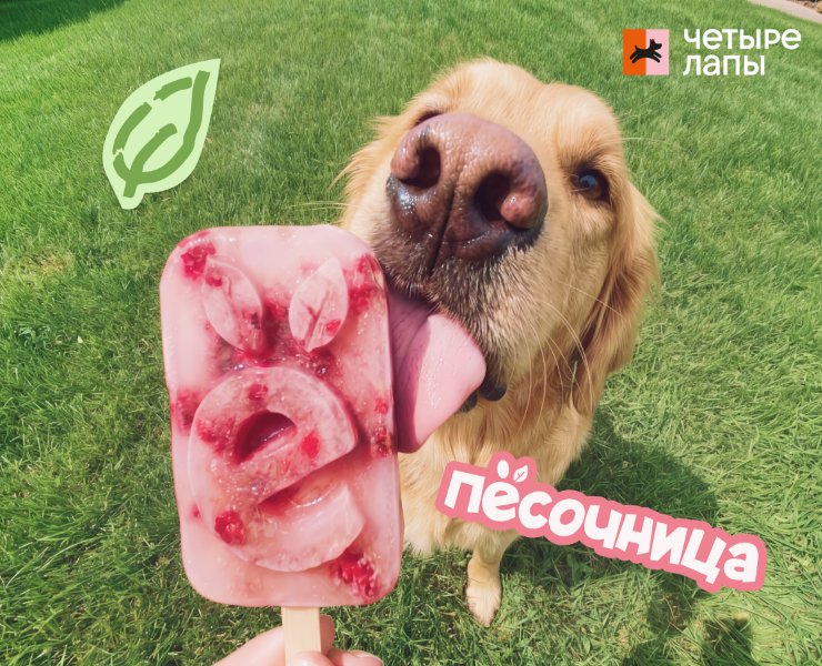 ПЁСОЧНИЦА | Branding на Dprofile