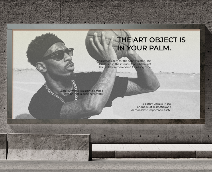 FLUFFY / Фирменный стиль для бренда дизайнерских мячей — Брендинг, Графика на Dprofile