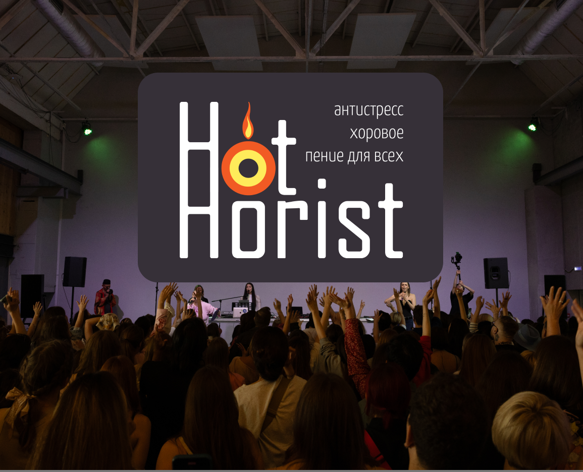 Разработка фирменного стиля для проекта Hot Horist — Брендинг на Dprofile